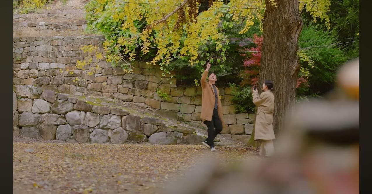 여행지🎬🍁