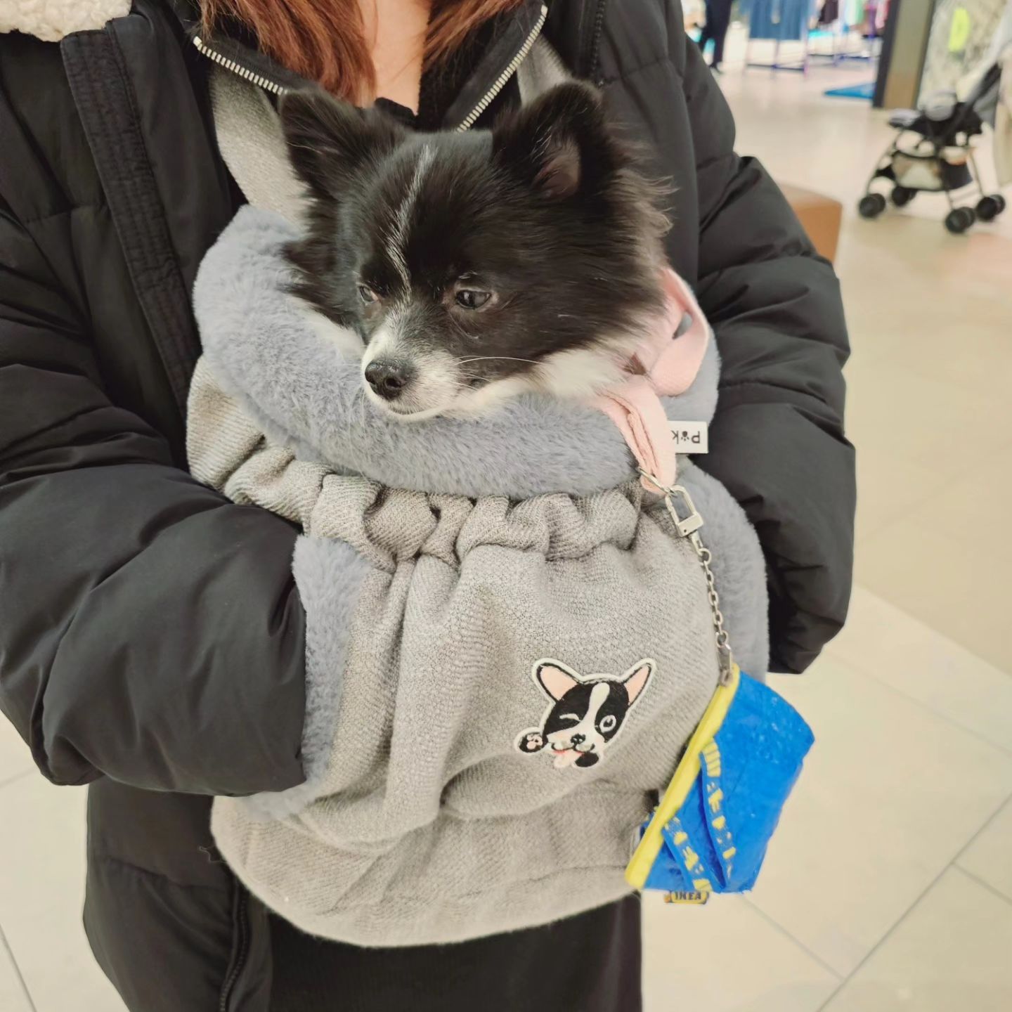 최홍시 흙수저 에디션🥹
결국엔 새가방이 생겼다(ˊo̴̶̷̤ ᴗ o̴̶̷̤ˋ)