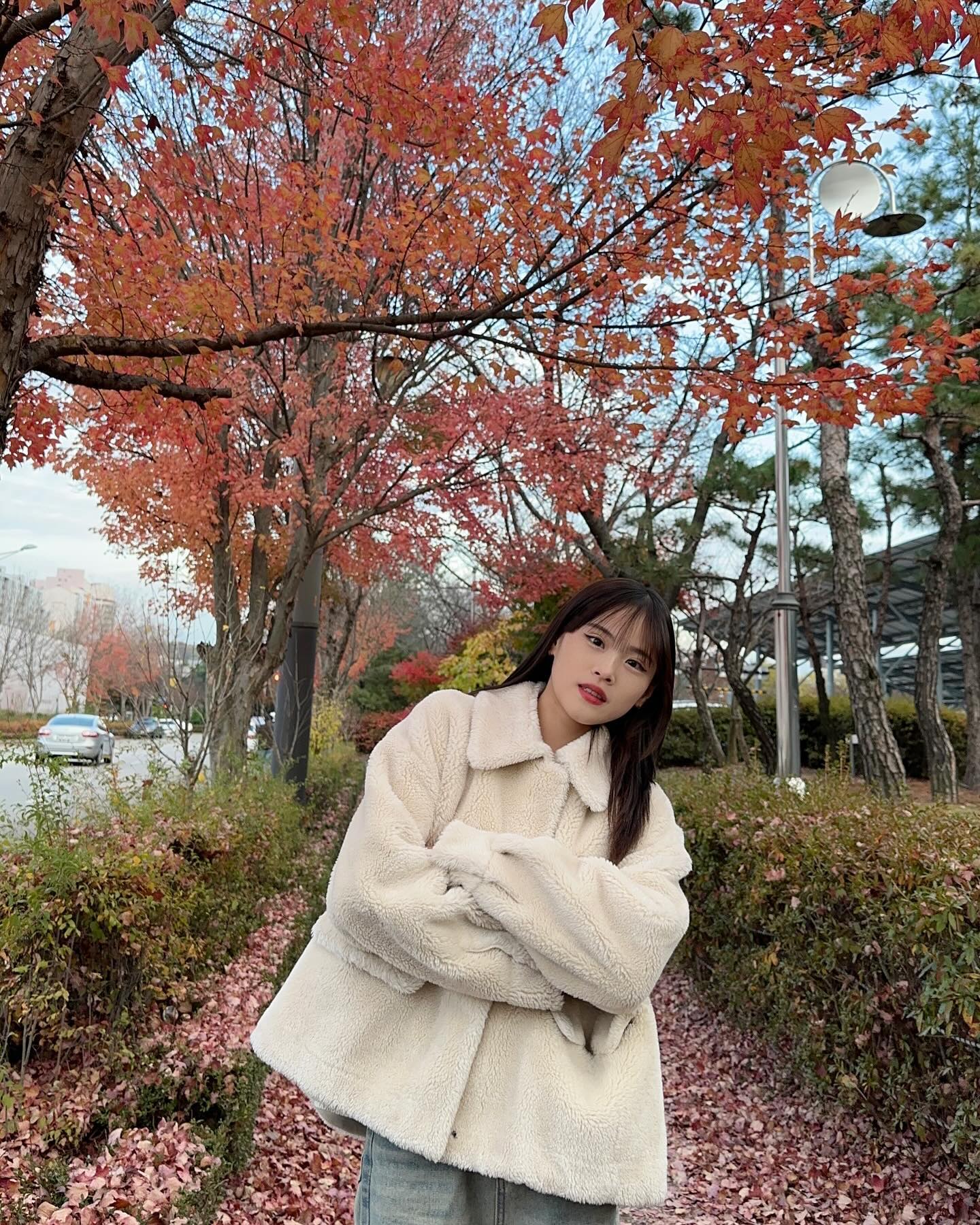 🍁
