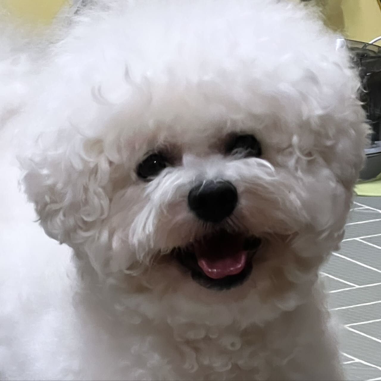 새벽 3시까지 놀아야 볼 수 있는 만족의 미소ㅋㅋㅋㅋㅋㅋㅋㅋㅋㅋㅋㅋㅋ