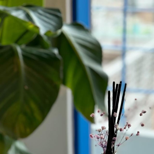  @sweethouse87 on Instagram: "#광고

달다구리한 간식
너므 좋아하는 우리집 아이들 👨‍👩‍👧‍👦 
루치펠로 #치약 으로 개운하고 깨끗하게~
매일 양치해요 

고불소 비건인증제품으로 
식물유래성분이 들어있는 치약이랍니다 
여태 저불소 치약만 썼는데 영구치 관리를 
위해서는 어린이 고불소 치약 쓰면 좋대요

자사몰 단독 증정품인 
유아 양치 컵도 들어있어요 🎵🎶
귀욤뽀짝해 아이들이 양치하는 시간도 
재밌어 하겠어요 ^^ 
#어린이불소치약
아이들에게 좋아 추천드려요 ~☆
.

.

#어린이고불소치약추천#고불소치약추천#어린이치약#어린이치약추천#키즈치약#키즈치약추천#치약#치약추천#rucipello#루치펠로#프리미엄치약#어린이#불소함유량#불소치약#불소기능"