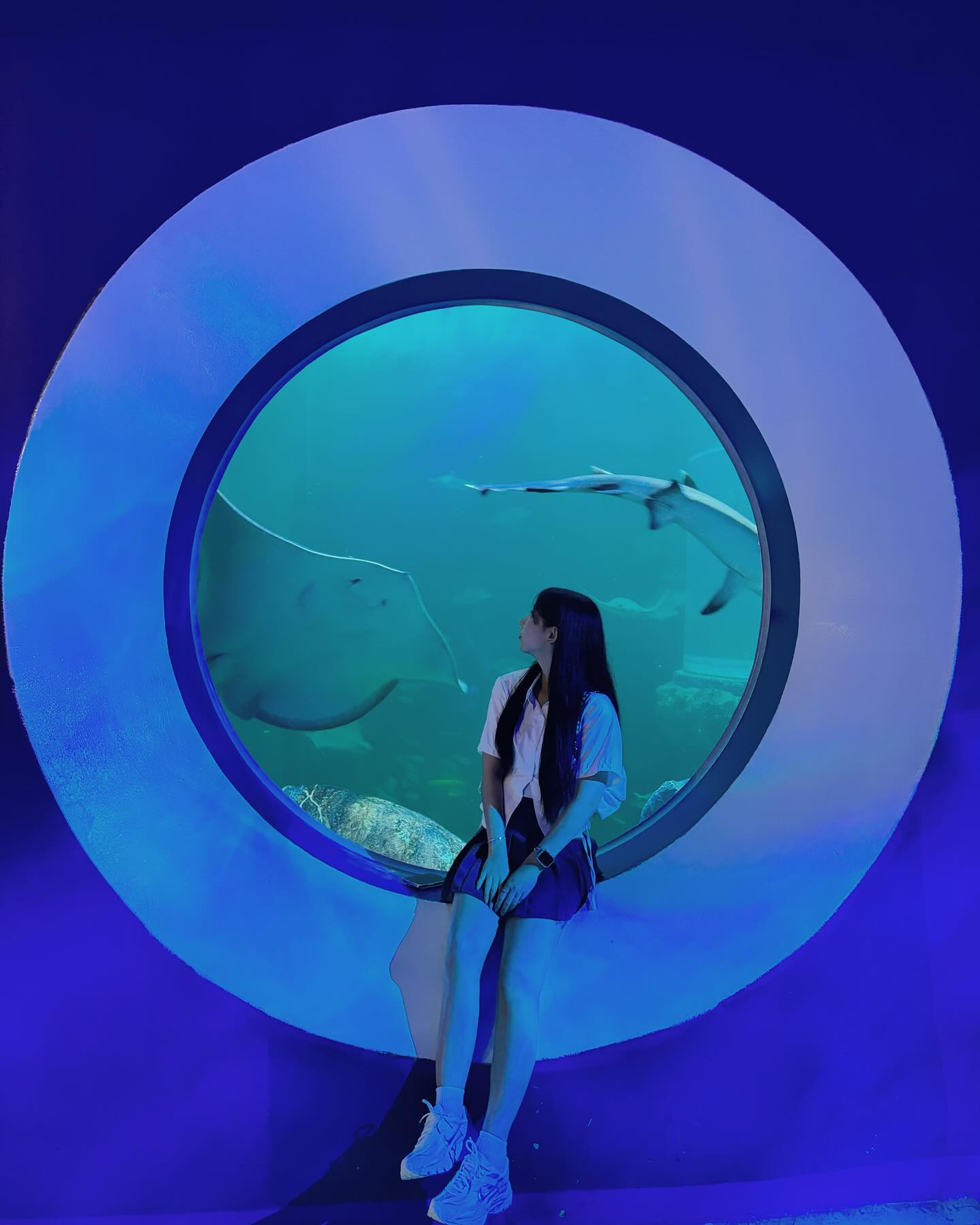 가오리 까꿍🐟