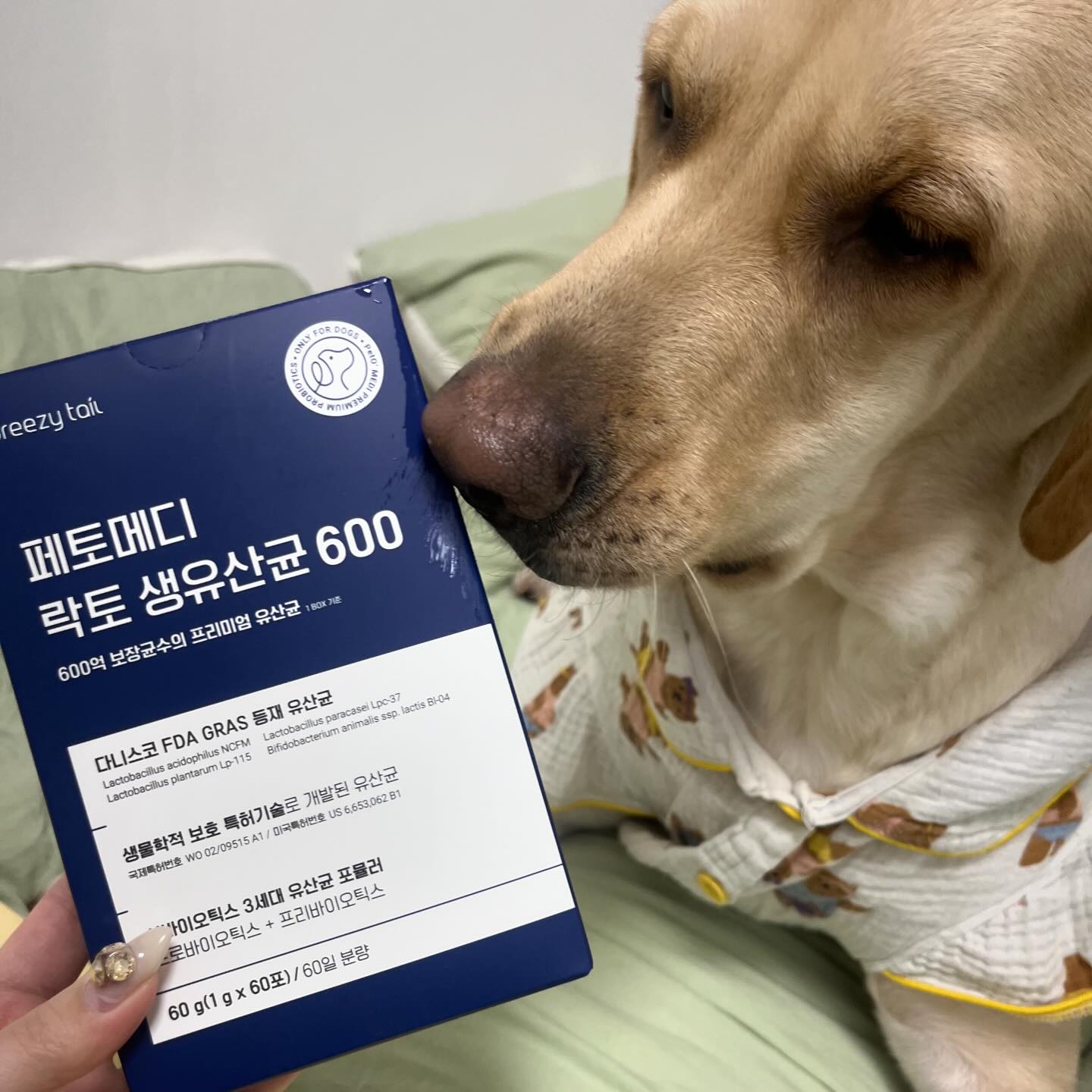 #협찬 #제품제공
사람이나 댕댕이나 유산균은 필수영양제💊
브리지테일( breezytail_korea )에서 락토 생유산균을 선물받았어용🤍 어릴때부터 장이 안좋아서 유산균을 필수로 급여중인 수리한테 딱 알맞는 선물인거죵🎁

✔ FDA 승인, 특허받은 고품질 유산균
✔ 강아지 장 건강에 맞춤형 유산균
✔ 프리바이오틱스를 담은 신바이오틱스 유산균
 
제품은 1포씩 개별 포장되어 있어 위생적이고, 개봉이 쉬운 형태에요! 무엇보다 기호성이 너무 좋더라구요!! 솔직히 수리는 뭐든 잘먹지만,,🤣 회사에 있는 입맛까다로운 댕댕이도 잘먹어서 너무 만족😉
배변활동이 원할하지 않은 변비인 친구, 변 상태가 좋지 않은 친구, 장 건강과 면역력이 필요한 친구들에게 추천합니당👍

당분간 수리는 브리지테일 유산균으로 정착할 예정 입니다💙 

#강아지유산균 #애견유산균 #노령견유산균 #강아지장영양제 #강아지영양제 #애견영양제 #노령견영양제 #강아지설사 #강아지변비 #강아지장건강