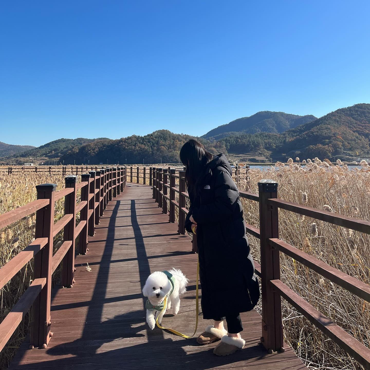 가을 여행 막차타러어 🤎
행보케 😭😭😭 💓