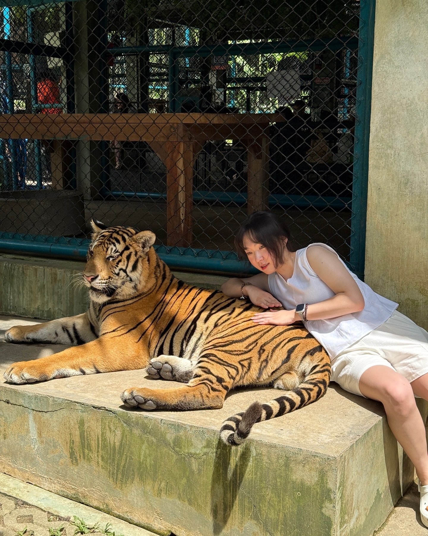 호랑이따위 무섭지 않지🐯