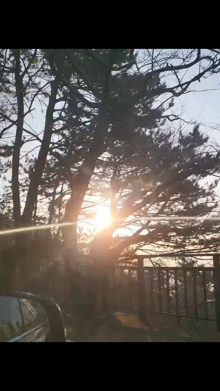 콘텐츠