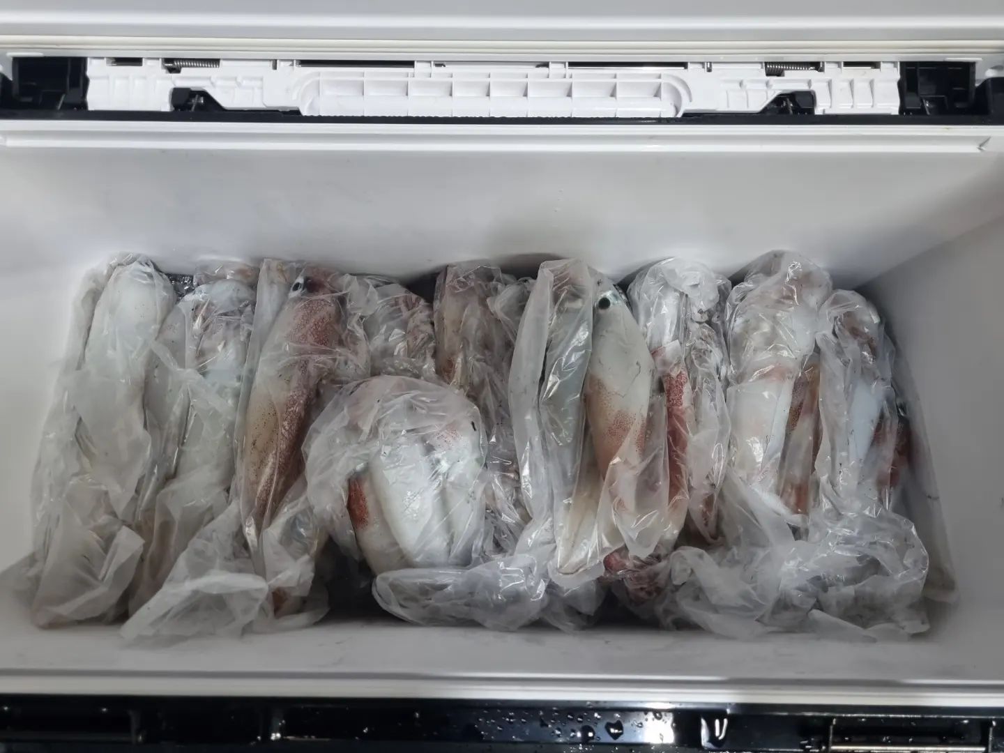 통영 한치낚시 패미리호

오랜만에 통영에서 한치낚시 다녀왔는데
한치를 먹을 만치 잡아왔네요 ㅋㅋ

한치.. 좋은날 만나가 힘들어요

#한치낚시 #통영패미리호 #바다낚시 #선상낚시