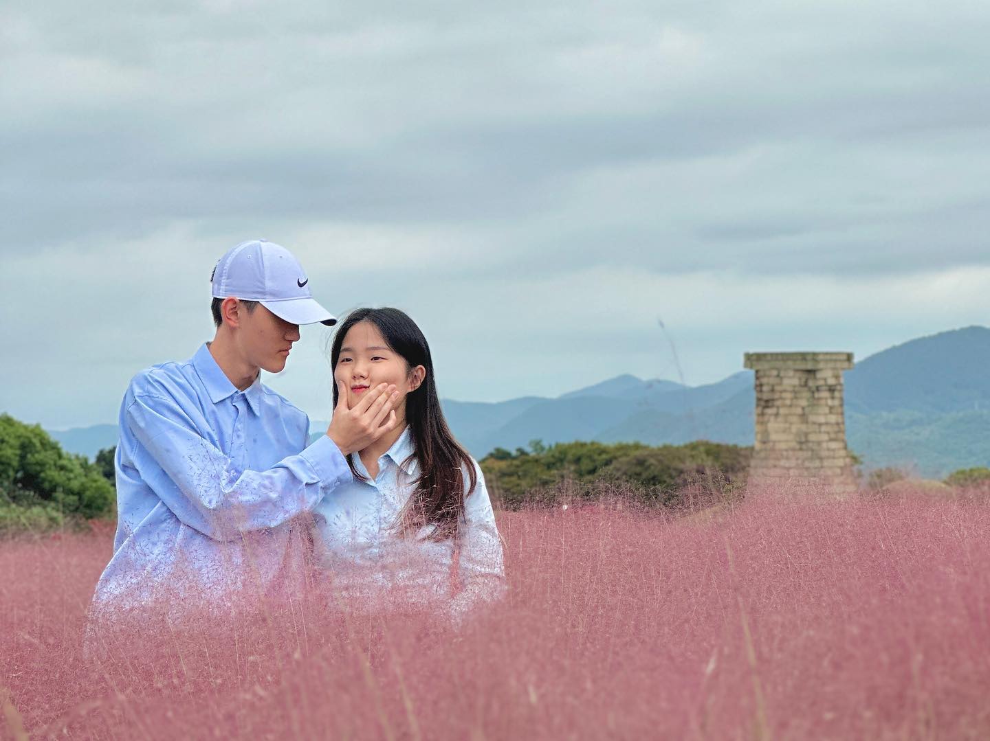둘 다 처음 본 핑크뮬리