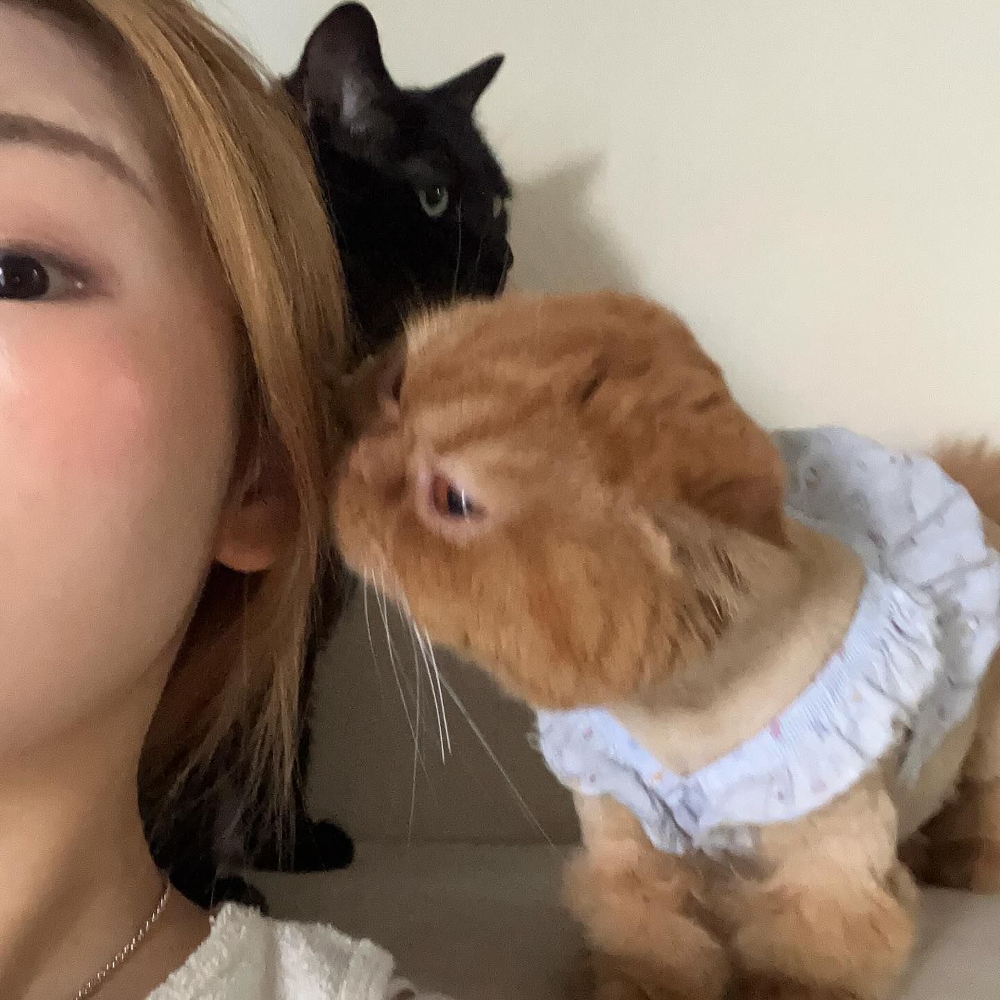 동물의 왕국
우당탕탕 하루

🤍 꾳은 화담에서 hwadam._.flower 🤍