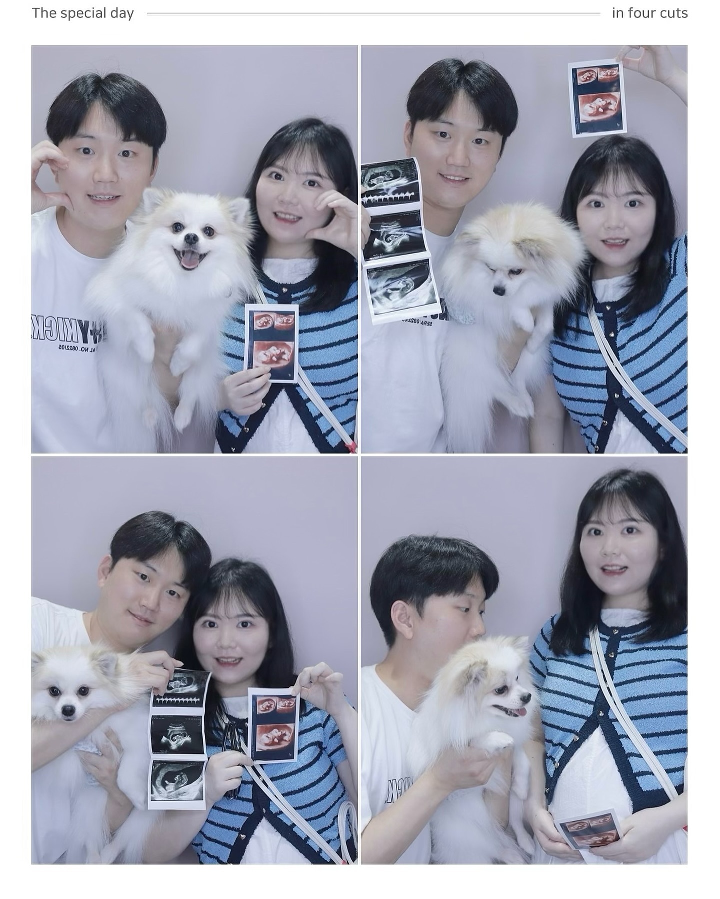 #임밍아웃 
결혼 생활 2년만에 우리 부부에게 천사가 찾아왔다👼🏻
계획했던 시기에 선물처럼 와준 고마운 아기천사🩵
(벌써부터 효자 노릇 하는거야?!ㅋㅋㅋ)

태몽은 암사자, 밤, 새끼강아지가 있었는데 난 메이플스토리에 나오는 버블링이 나왔다😳 그래서 태명은 링링이!

여전히 조심스러운 시기이고 아직 실감이 안나지만
무럭무럭 건강하게 자라서 내년 2월에 만나자 링링아🕊️🫶🏻
링링이는 씩씩한 아들이여요!🌶️🌶️🌶️

#임산부 #17w0d #아들맘 #뱀띠맘 #링링맘 #화이팅‼️