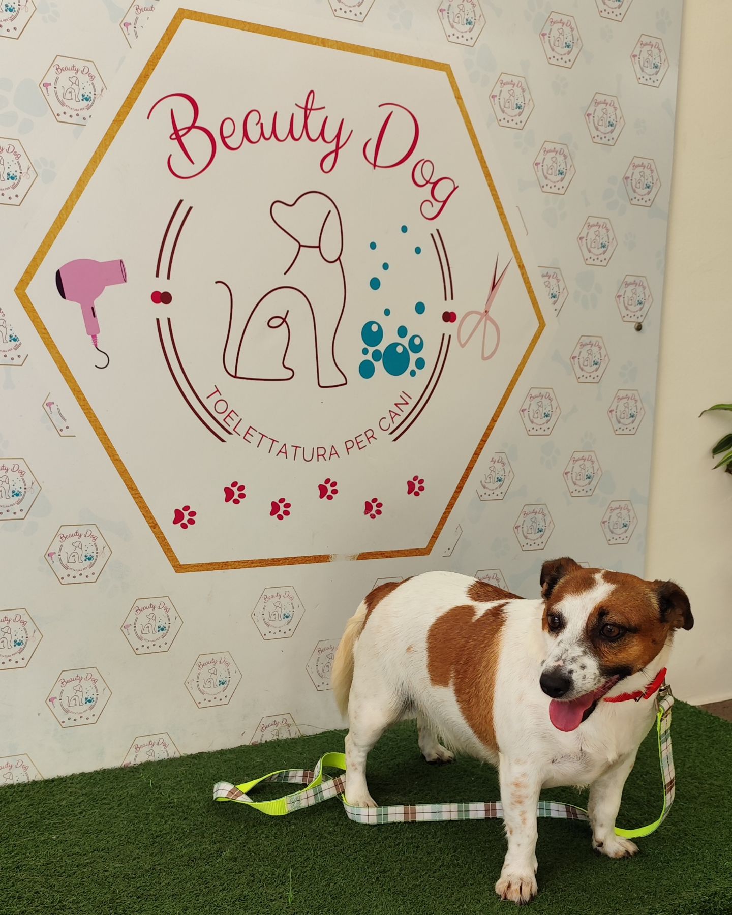 La nostra nuova amica Mia 💖🐾