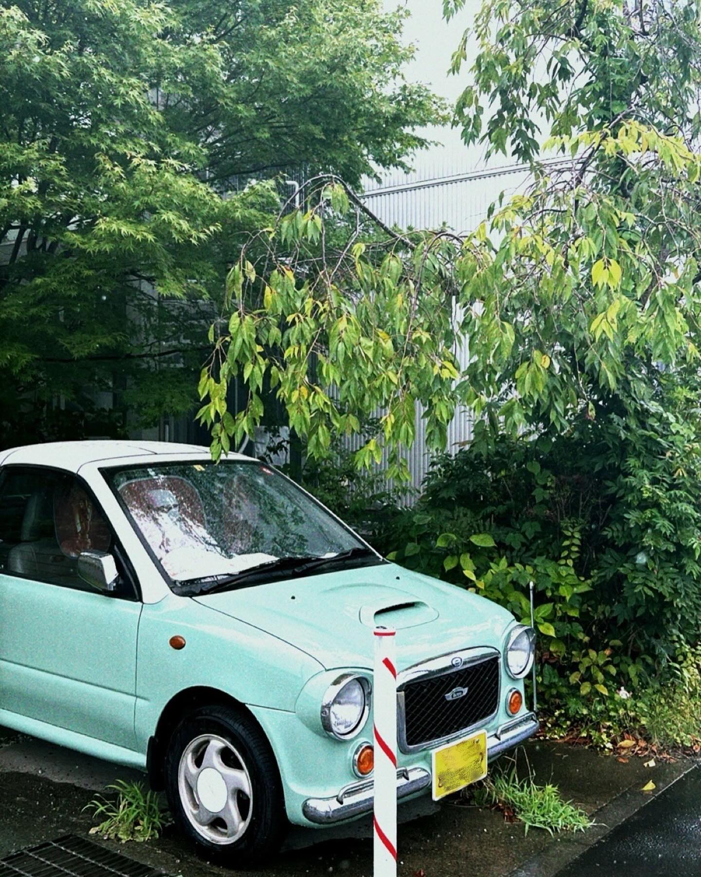 쏟아지는 유성 빛처럼 찬란한 날처럼🌿