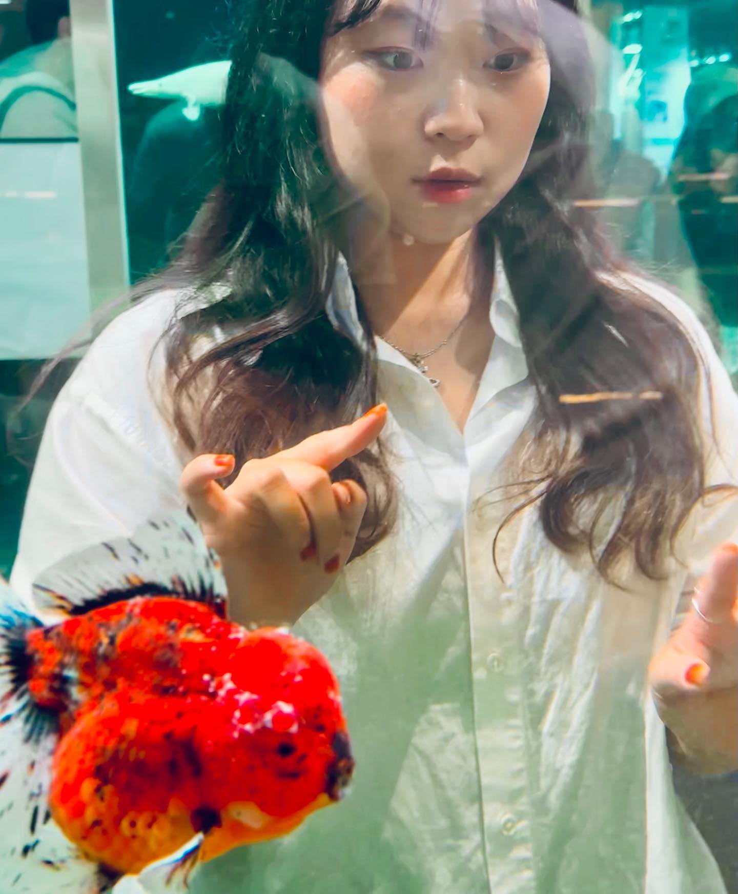귀요운 물고기들이랑🐠🤍
특히 거북이가 진짜 귀요미임 ㅜㅜ