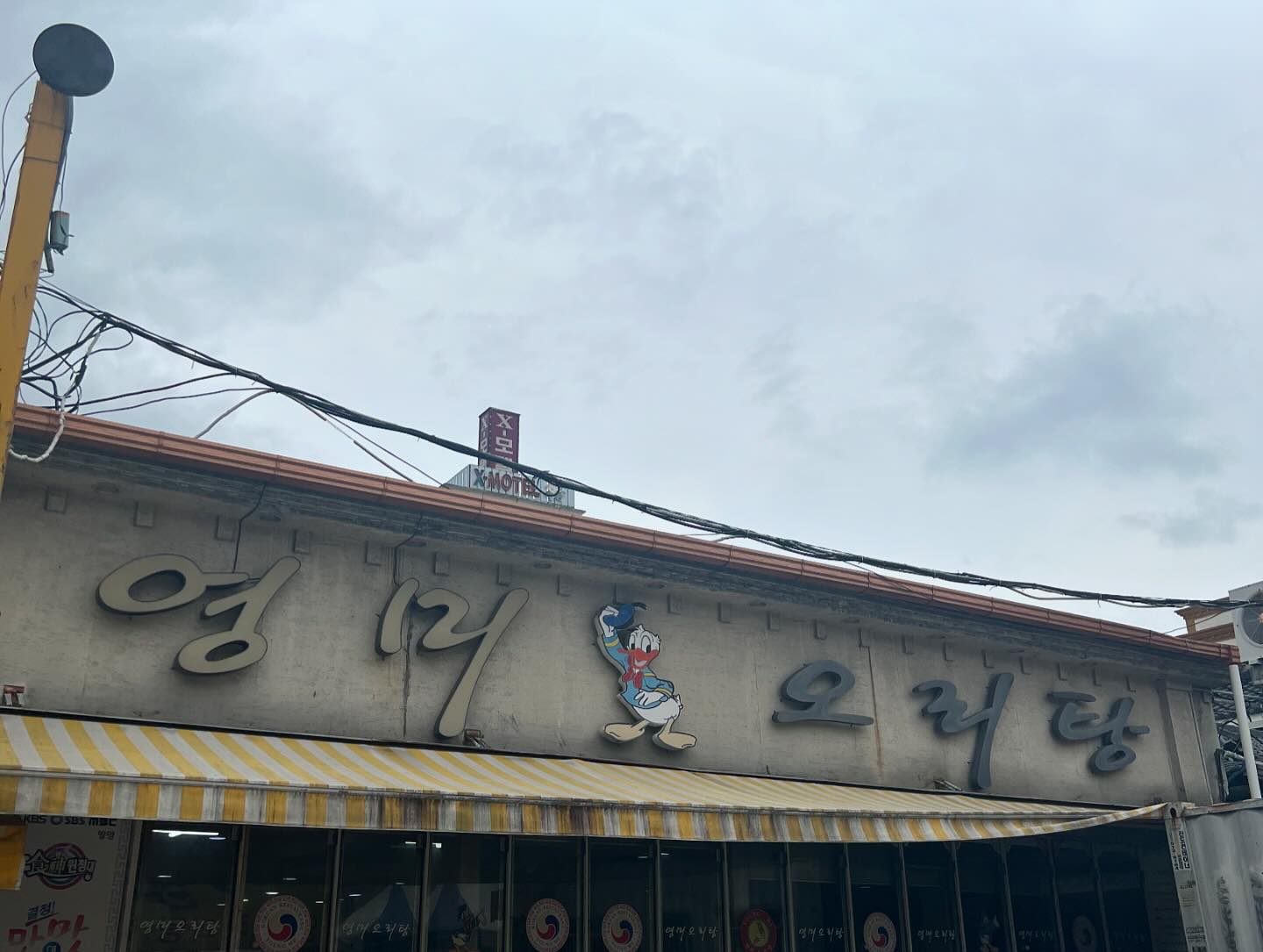-

상호명 : 영미오리탕
위치 : 광주 북구 경양로 126

오리탕 한마리(60,000원) 우리는 2인이라 오리탕반마리(40,000원) 오리주물럭이(61,000원)랑 오리로스(61,000원)도 팔더라고요!! 양도푸짐하고 건강한맛 초고추장에 들깨가루넣어서 섞어서 찍어먹으니 별미별미더라고요!!
광주간다니까 여기 꼭 다녀오라고 추천받아서 웨이팅번호받고 기다려서 먹었어요 진짜 건강해지는 맛이었어요👍👍👍👍👍왜 인기인지알겠더라고요
광주 가실일있음 꼭!!!꼭!!! 방문해보세요 주차장도 맞은편까지여서 넓어요~
가게도 크지는 않지만 본관별관있오요 꼭 드셔보고 오세유

#자취생음식 #외식 #여행음식 #나들이음식 #건강식 #광주맛집 #오리탕 
#전라도맛집 #별미 #건강하게먹기 #잘먹었습니다