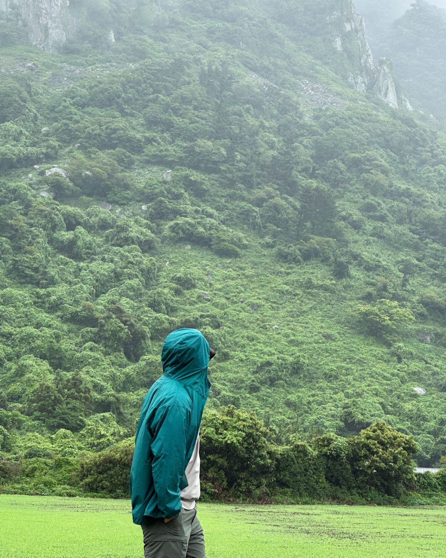 산방산 여기분명 유채꽃밭 있다고
했는데 하나도 없다..🌼
그래도 푸른 녹음이 펼쳐진 산방산 보면ㅅ니 호연지기 기르기

#제주도여행
#제주도산방산
#산방산
#제주여행
#산방산유채꽃 
#여행소통 #여행일기 #여행에미치다