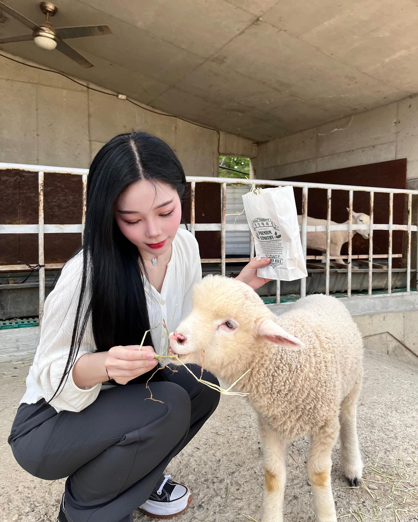 이렇게 재미있을 수가🐏✨😖
_
#양떼목장 #가평 #알파카 #양 #캠핑 #캠프파이어 
.
.
.
#가평캠핑장 #강릉맛집 #가평맛집 #여행 #마시멜로우 #글램핑 #글램핑장 #흥부네솥뚜껑닭볶음탕 #가평양떼목장 #맞팔 #첫줄 #ootd #선팔하면맞팔 #일본여행 #follow4followback
#followforfollow #follow #likeforlikes #fff #00 #07 #08 #데일리코디 #패션계정맞팔