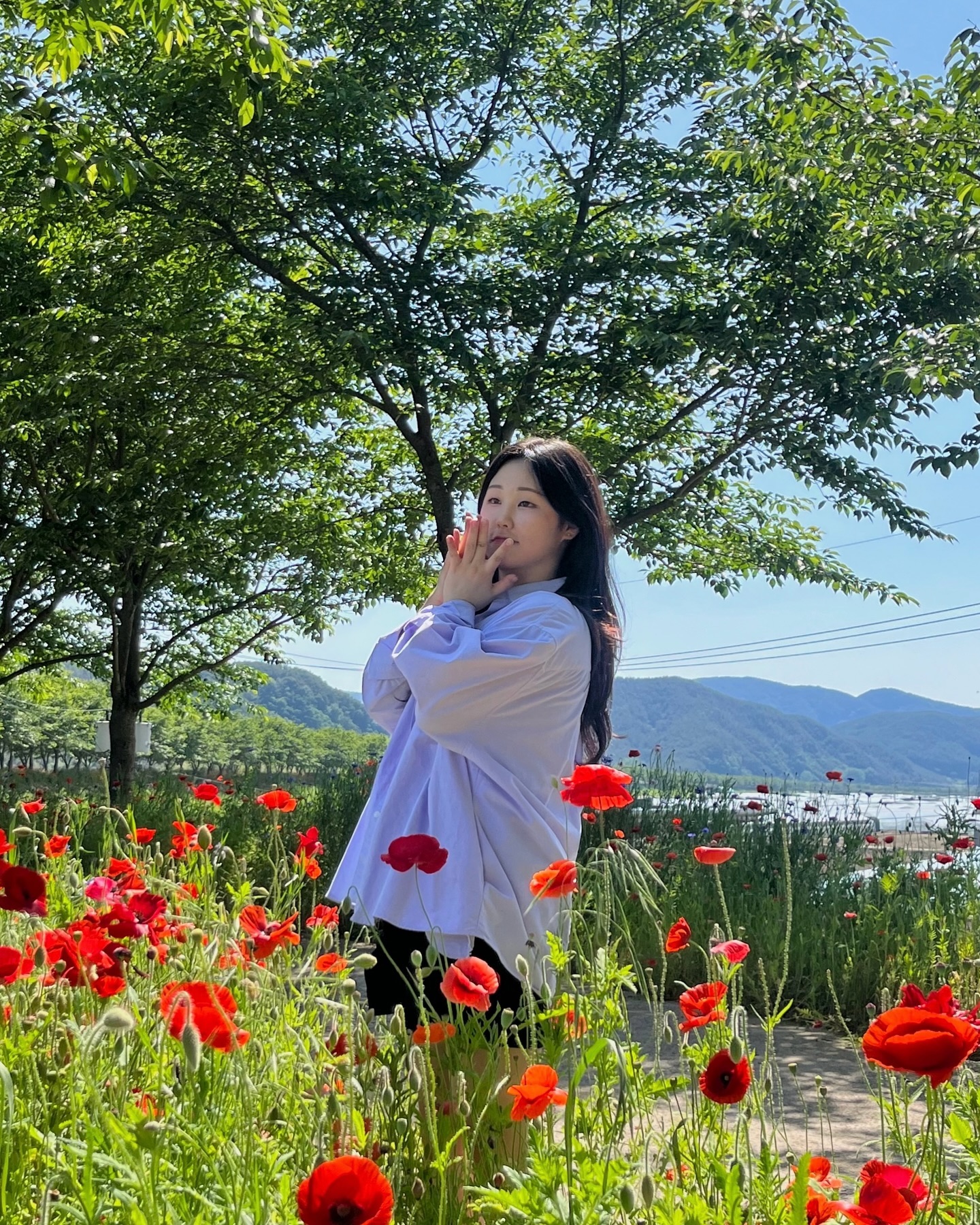 올 봄엔 양귀비도 가득 보고 왔지롱 🌺