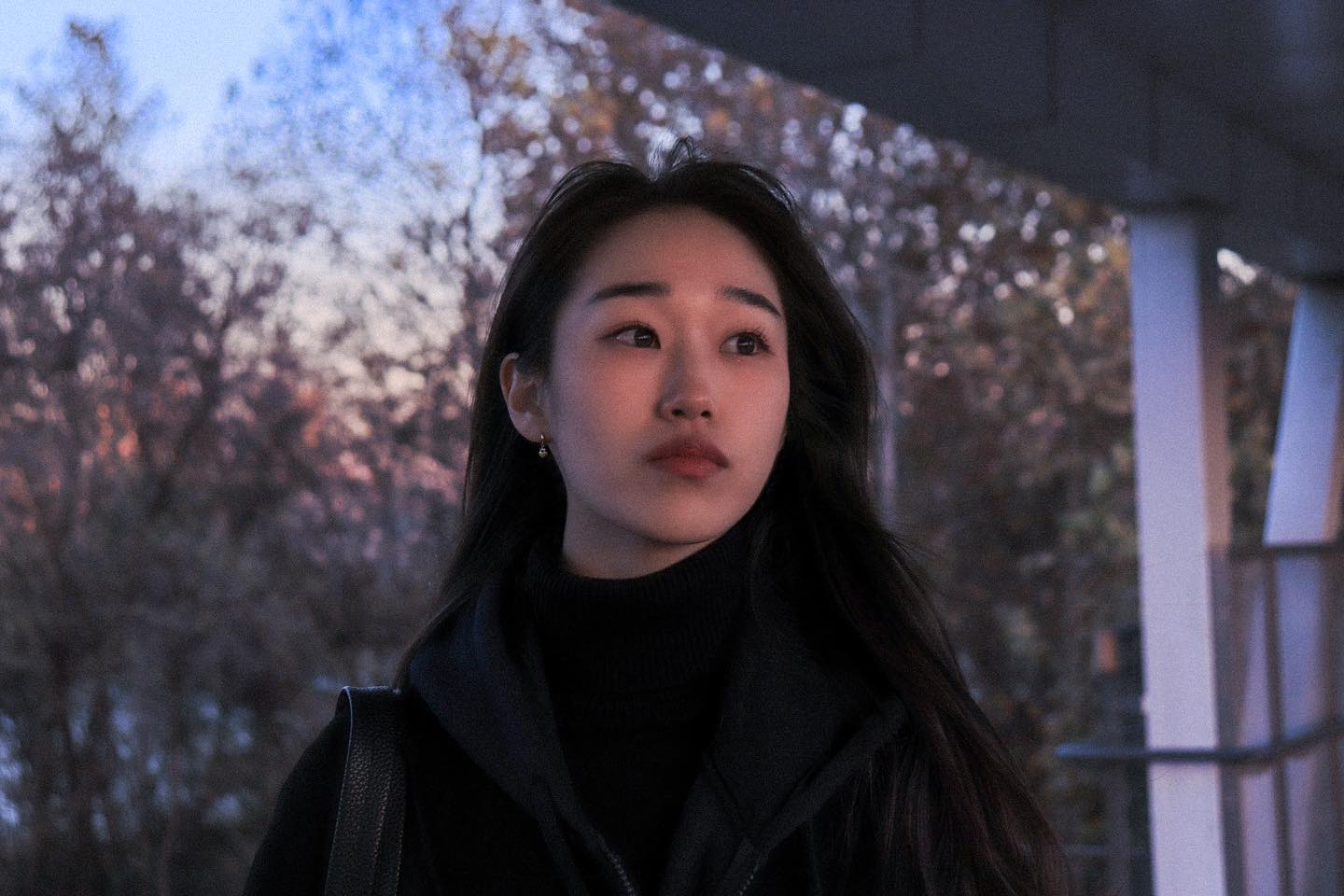 🏙️