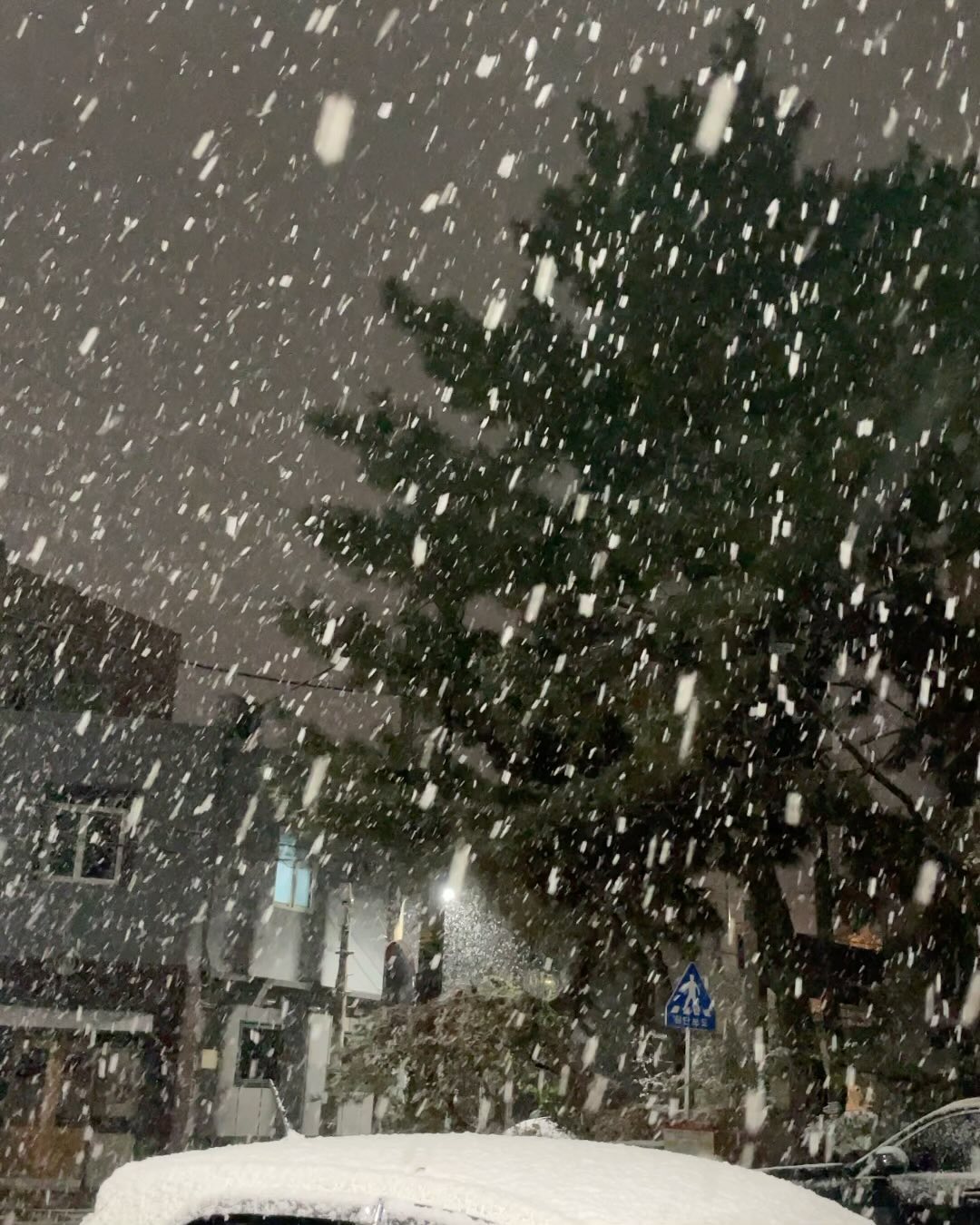 좋아하는 위스키 마시다가 펑펑 내리는 눈을 한참이나 맞고 서 있었다. 위스키로 몸 데우고 두 손에 따뜻한 유자차 들고 걷는 겨울 밤!🥃❄️
낭만없이 어찌 인생을 즐기겠어요. 기꺼이 행복합시다 ..🖤