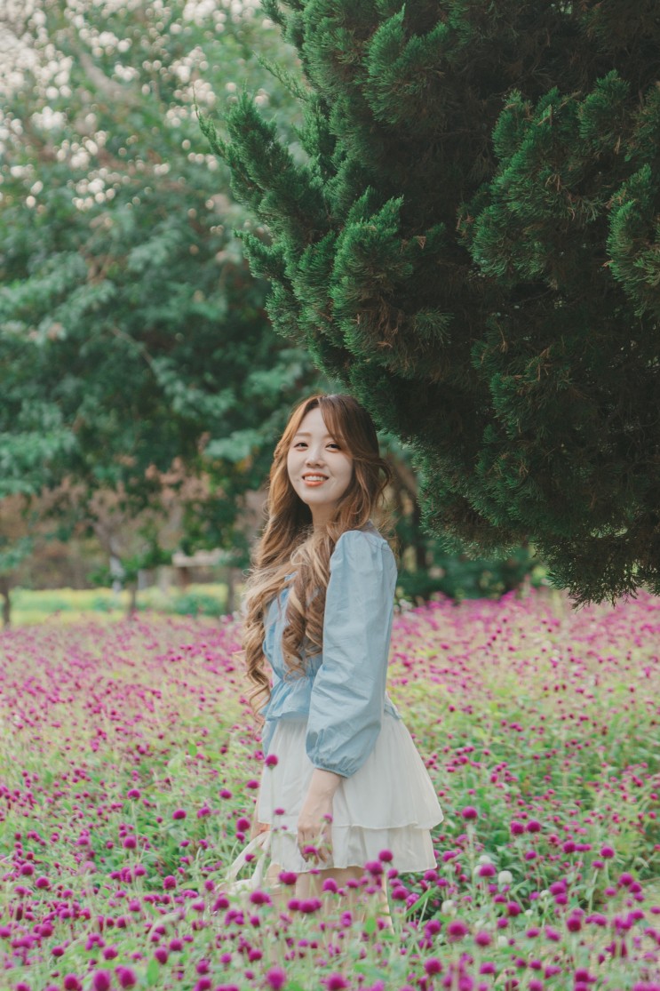 가을 꽃이 만개한﹝수원 탑동 시민농장﹞포토스팟 📸
