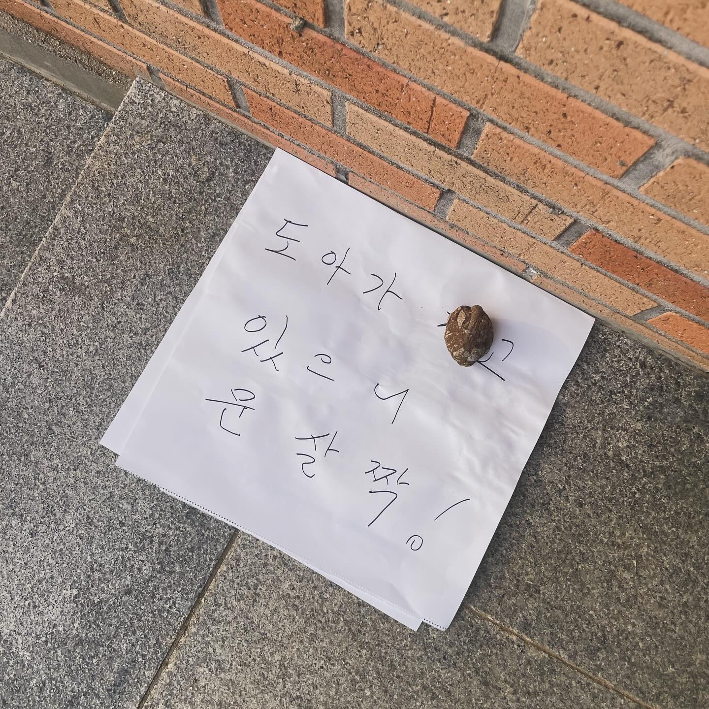 할머니의 사랑🧡