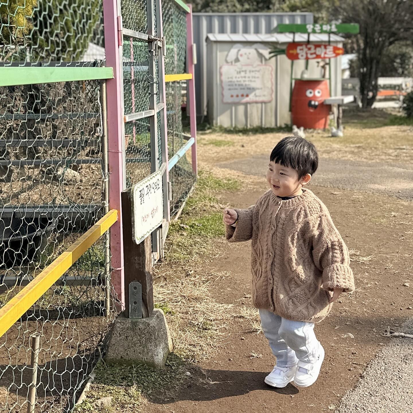 ❛ ᴗ ❛
⠀
준우 제주 3장 요약🍊
⠀
⠀
#제주 #제주여행 #항쭈누 #쭈누일기 
#27개월아기 #jeju