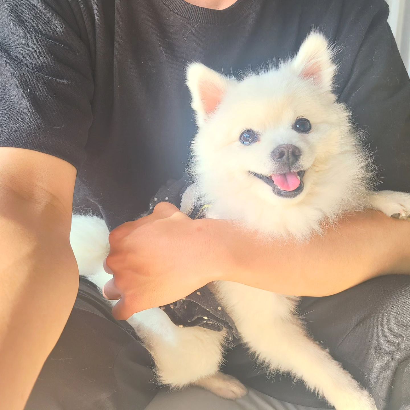 행복한 주말 보내세요🩷