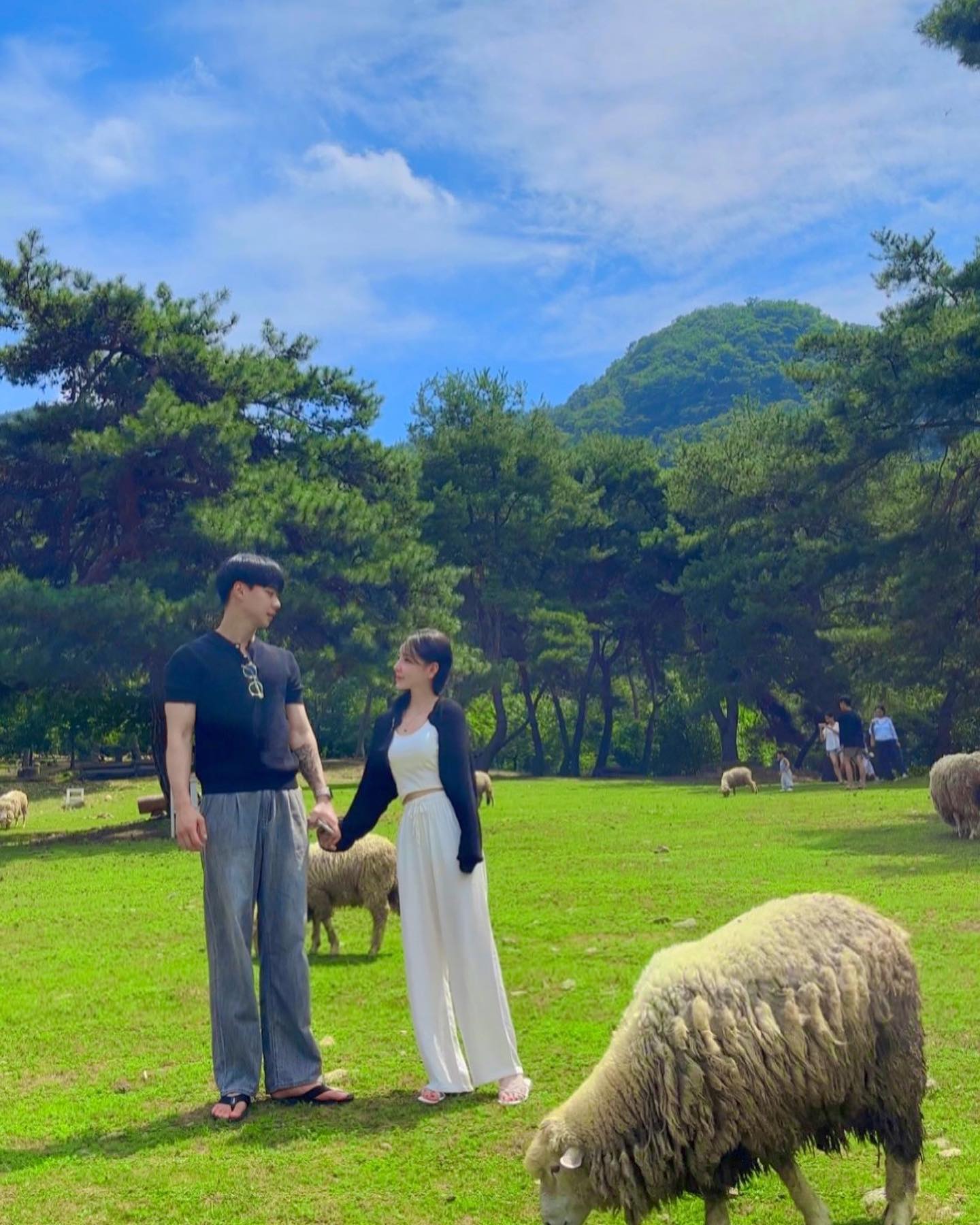 춘천에 있는 해피해피한 목장😃

📍해피초원목장
🏷️ 강원 춘천시 사북면 춘화로 330-48
🪧입장료 어른-7000 / 어린이- 6000
🚘 무료주차장 있음

BTS한우버거가 유명한 해피초원목장!
체력이 필수인 곳이지만 그만큼 용서되는 뷰 🫶

#춘천해피초원 #춘천해피목장 #bts한우버거 #춘천카페 #춘천여행 #춘천가볼만한곳 #춘천맛집 #춘천데이트 #춘천핫플레이스 #데이트코스추천 #풍경사진 #풍경스타그램 #풍경스냅 #풍경그램 #오오티디 #일상 #장거리커플 #커플사진 #커플시밀러룩 #커플여행 #데일리코디