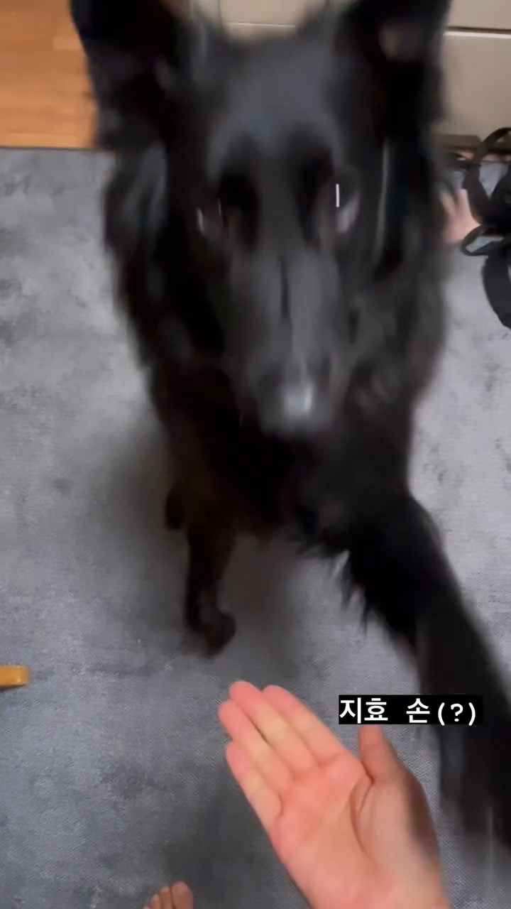 손이 한 개 더 늘었네
#그로넨달