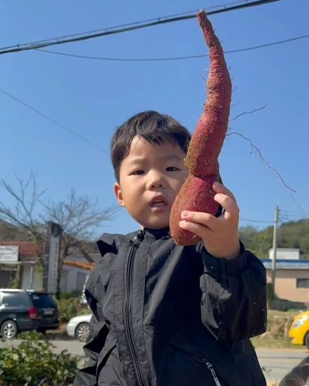 오늘 기분이 영 꽝이였는데 
울 똥강생이덜 고구마 캐고온날 키노가 뙇!!! 
이거보고 기분 좋아지는 나는야 단순왕🩷 

#울강아지들
#고구마농부처럼나왔네🤣🤣
#아기다리고기다리 던 키즈노트