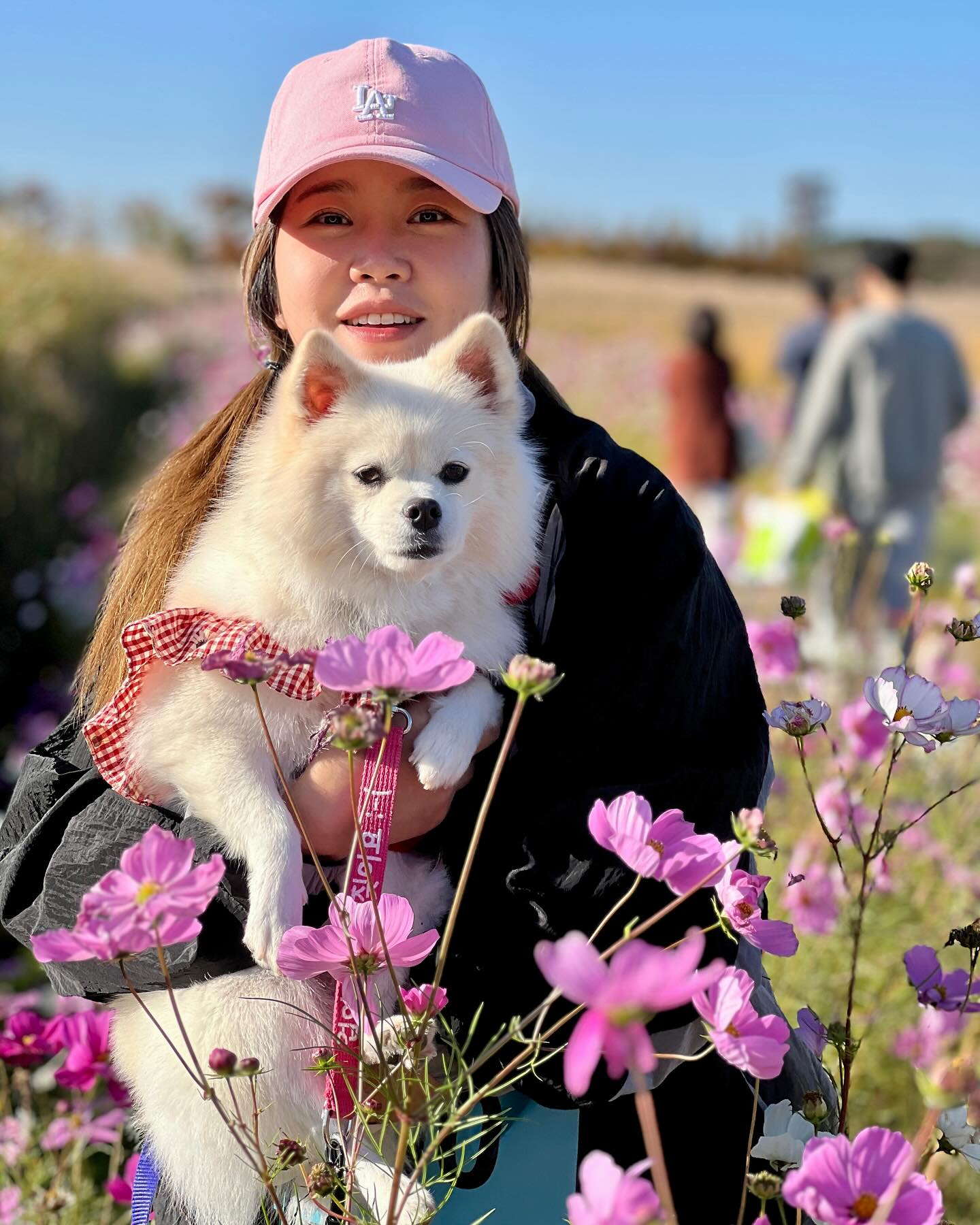 #갯골생태공원 에서
 #강아지행사 하길래 다녀왔어요🤗
아침에 비왔는데 날씨가 화창하니 좋아졌어요 💛
울눈누💕엄빠는 즐거웠어 
울눈누도 즐거웠지!! 많이많이 사랑해 울딸 🤗🤗

 #사랑해딸❤️ #강아지운동회 #개족사진 #개가족 #폼피츠일상 #폼피츠 #폼피츠눈누 #가을여행 #만삭일상 #맞팔댕팔 #시흥 #갯골축제 #강아지 #댕댕스타그램🐶 #멍팔맞팔 #snow필터