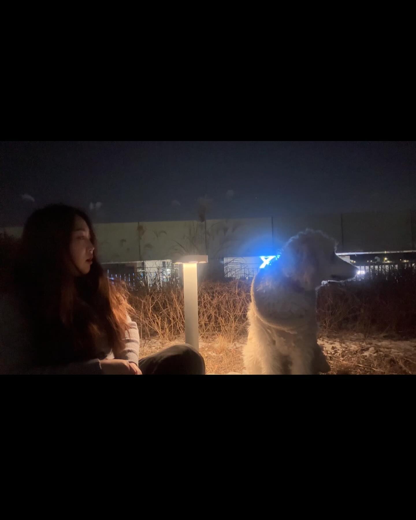 플필 plfil_official 에서 지난 서포터즈활동때 쿠키를 보시고, 쿠키와 디즈니 챌린지가 잘 어울린다며 추천해주시고 많이 도와주셔서 👍🏻🫶🏻
덜덜 떨어가며 힘들게🤣촬영한 영상이 네이버tv에 공개되었다고합니다❤️

#네이버티비 #네이버tv #디즈니챌린지 #더빙 #연기 #위시 #디즈니 #배우  #배우견 #여배우 #스탠다드푸들 #플필 #좋아요