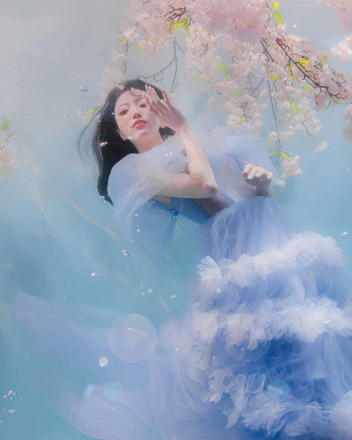 미리 수중으로 만나고 온 벚꽃🌸
블루 드레스도 벚꽃이랑 찰떡이야ㅏㅏㅏ

photo soda.photo.kr 
dress romantique_doll 
makeup eio_x_