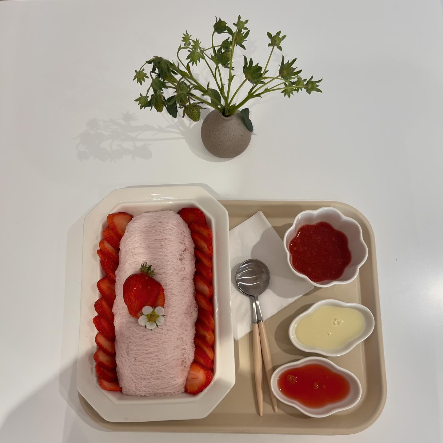 오빠랑 올해 첫 빙수🍓
들어가자마자 딸기향 엄청나구 우리딸기도 맛있었는지 먹자마자 배에서 꿀렁이기🩵🩵딸기 나오기 전에 자주 먹으러가자🥹

#베리베리스트로베리 #🍓🍓🍓