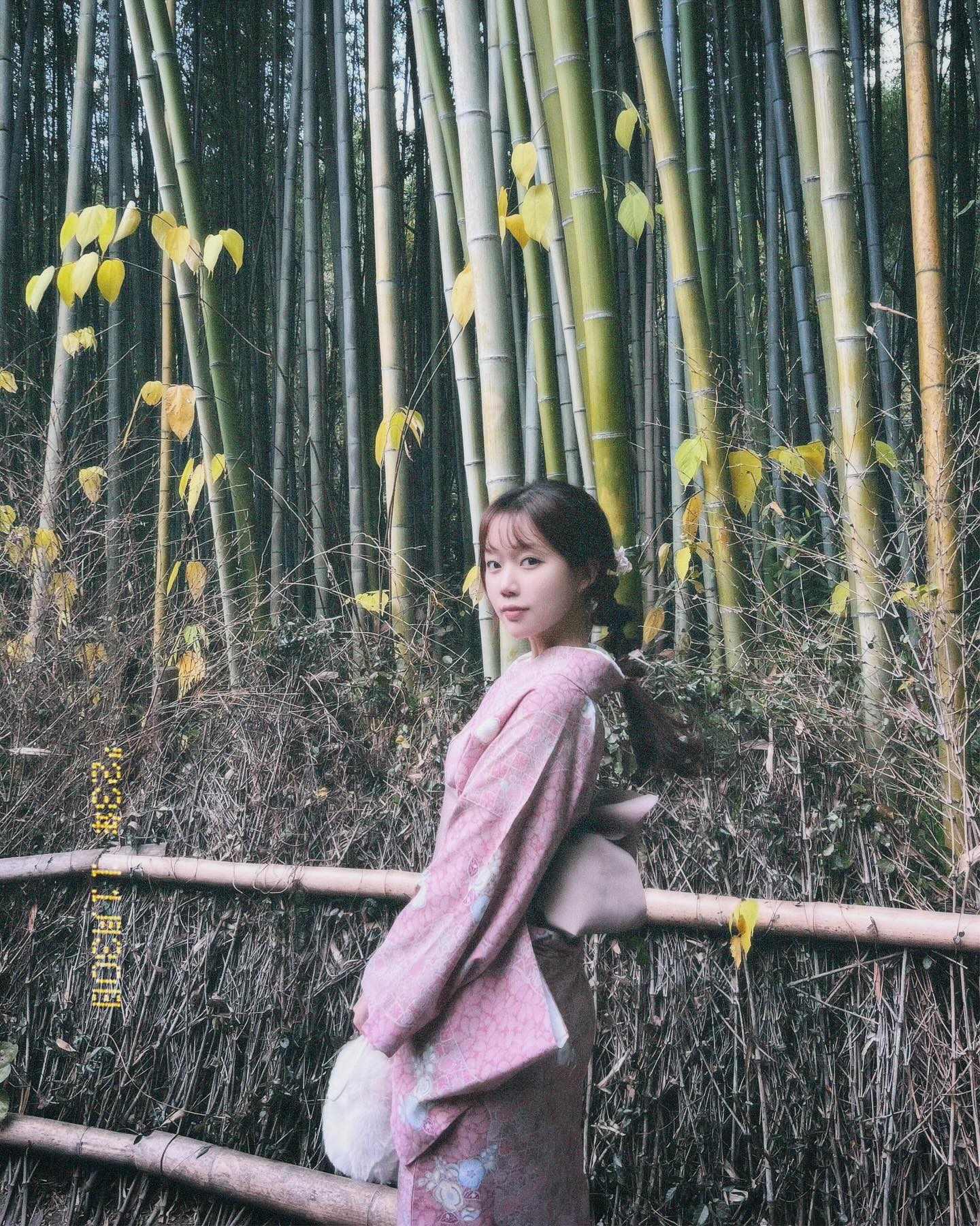 追伸：あんたの事わりと好きだったぜ

#arashiyama #kyoto #아라시야마 #아라시야마치쿠린🎋