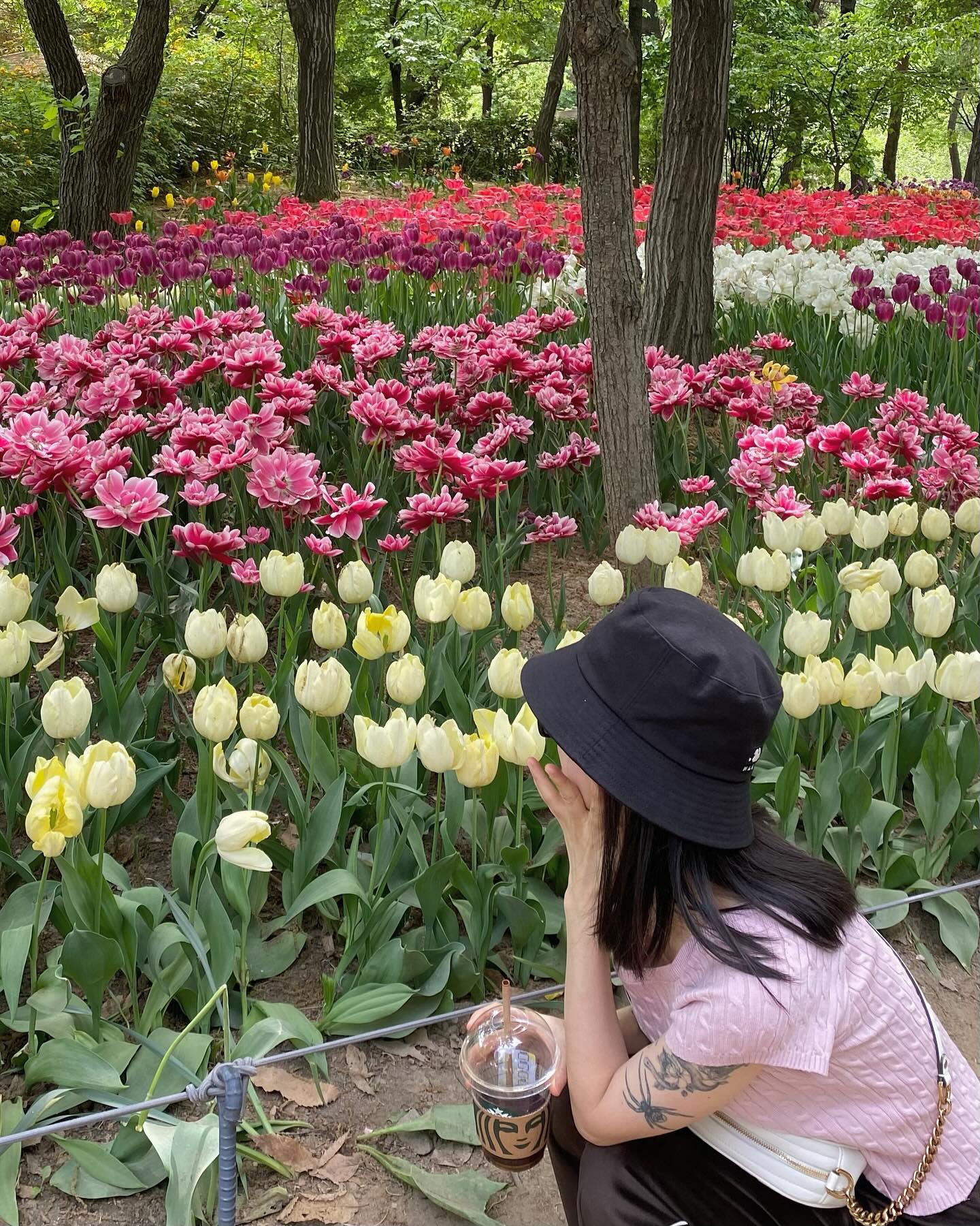 서울숲에 피어난 예뿐 튤립들 🌷🌷

나두 튤립 아래에서 찍었따 ٩(๑❛ᴗ❛๑)۶
