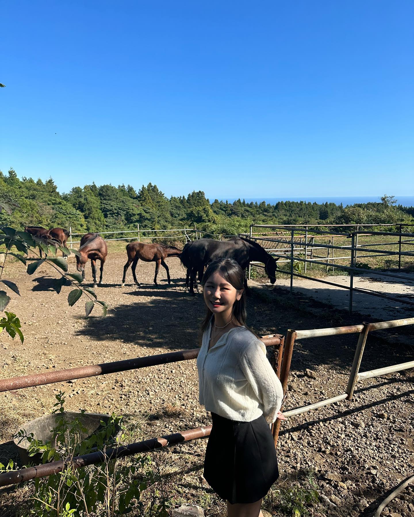 제주도하면 , 말도 봐줘야지 ! 🐎💚 

요즘 내 최애 옷인 #피터앤웬디 옷 입구 아무도 없던 말목장에서 행복했다! 👗✨