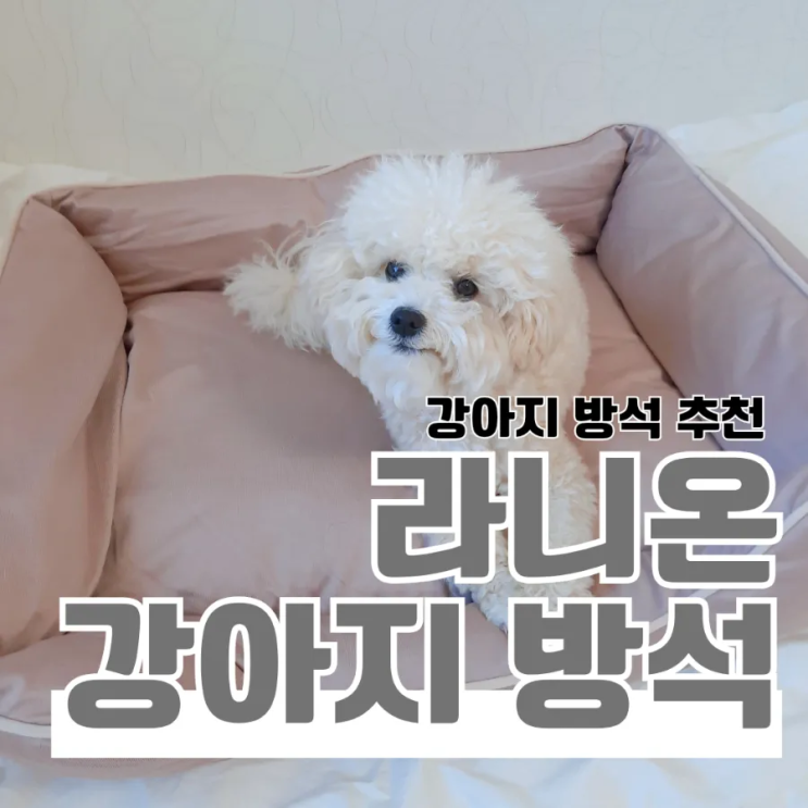 쿠팡 라니온 강아지 방석 솔직후기