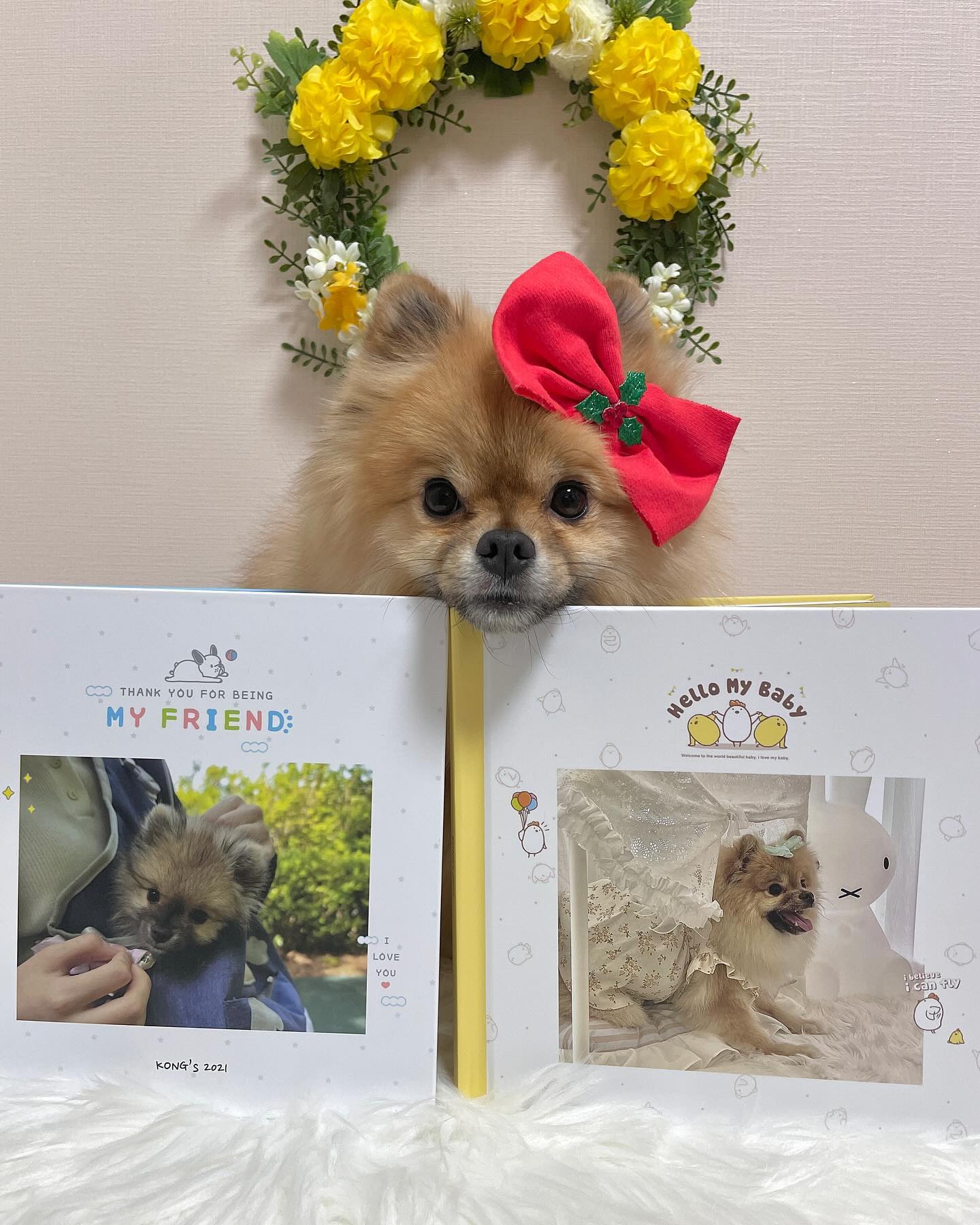 #협찬 
🎄𝑀𝐸𝑅𝑅𝒴 𝒞𝑅𝐼𝒮𝒯𝑀𝒜𝒮🎄
칭구들 다들 크리스마스 선물 받았오?!🎁
콩인 publog 에서 포토북을 선물받았오!!📚

퍼블로그는 포토북, 사진인화 전문 브랜드로 
‘나만의 굿즈 플래닛’을 표방하고 있오!🩷
다양한 디자인, 선명한 화질, 손쉬운 제작 등의 장점이 
가득하고 소량제작도 가능하단 점에서 큰 메리트가 있어!!👍🏻

만드는건 눈나가 했는데 방법도 정말 간단해!😃 
원하는 사진을 고르고 퍼블로그 앱에 있는 포토북 틀만 
가져와서 사진 크기나 위치를 맞춰 넣기만 하면 끝!!🫢🩷 

전문 사진관에 가면 포토북 하나 제작하는데 돈도 많이 들고 
소량으로는 제작을 해주지 않는 곳들도 많더라궁..🥲 
퍼블로그에서 포토북을 만들면 여행포토북, 커플포토북, 
성장포토북, 웨딩포토북, 아기포토북, 졸업 포토북 등 
다양한 컨셉의 포토북을 가성비 좋게 제작할 수 있오!😍

그래서 콩인 울 눈나처럼 내새꾸템을 만들고 싶은 
임오삼촌들한테 완젼 추천해주고 시포😚