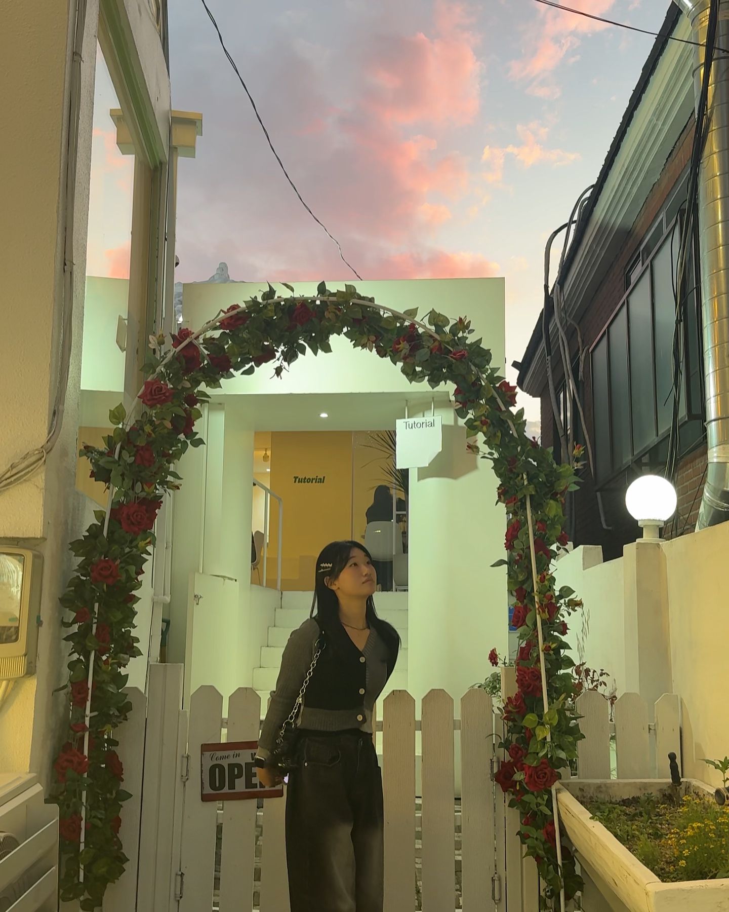 🌹