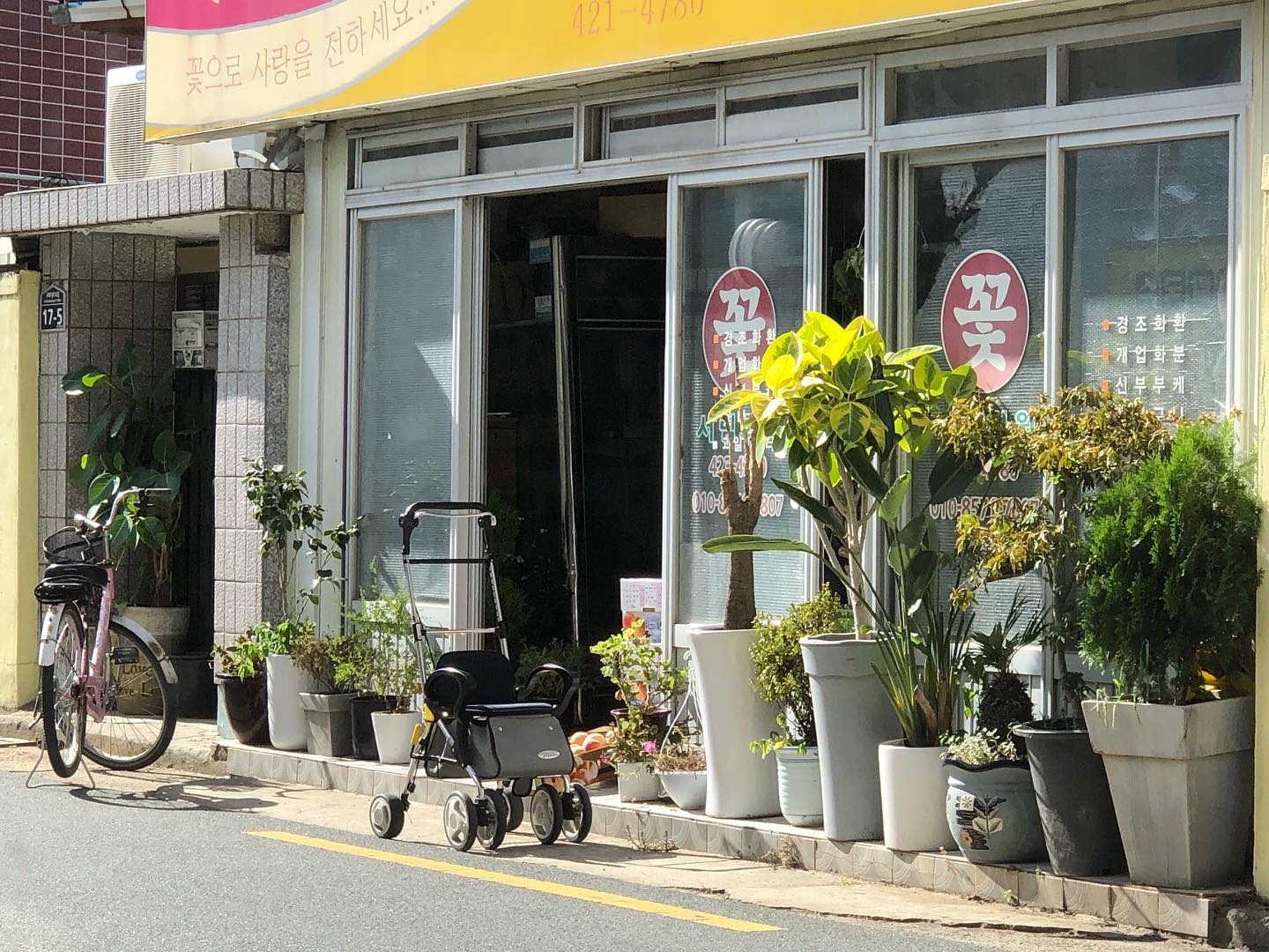 사랑하는 여름의 장면들.