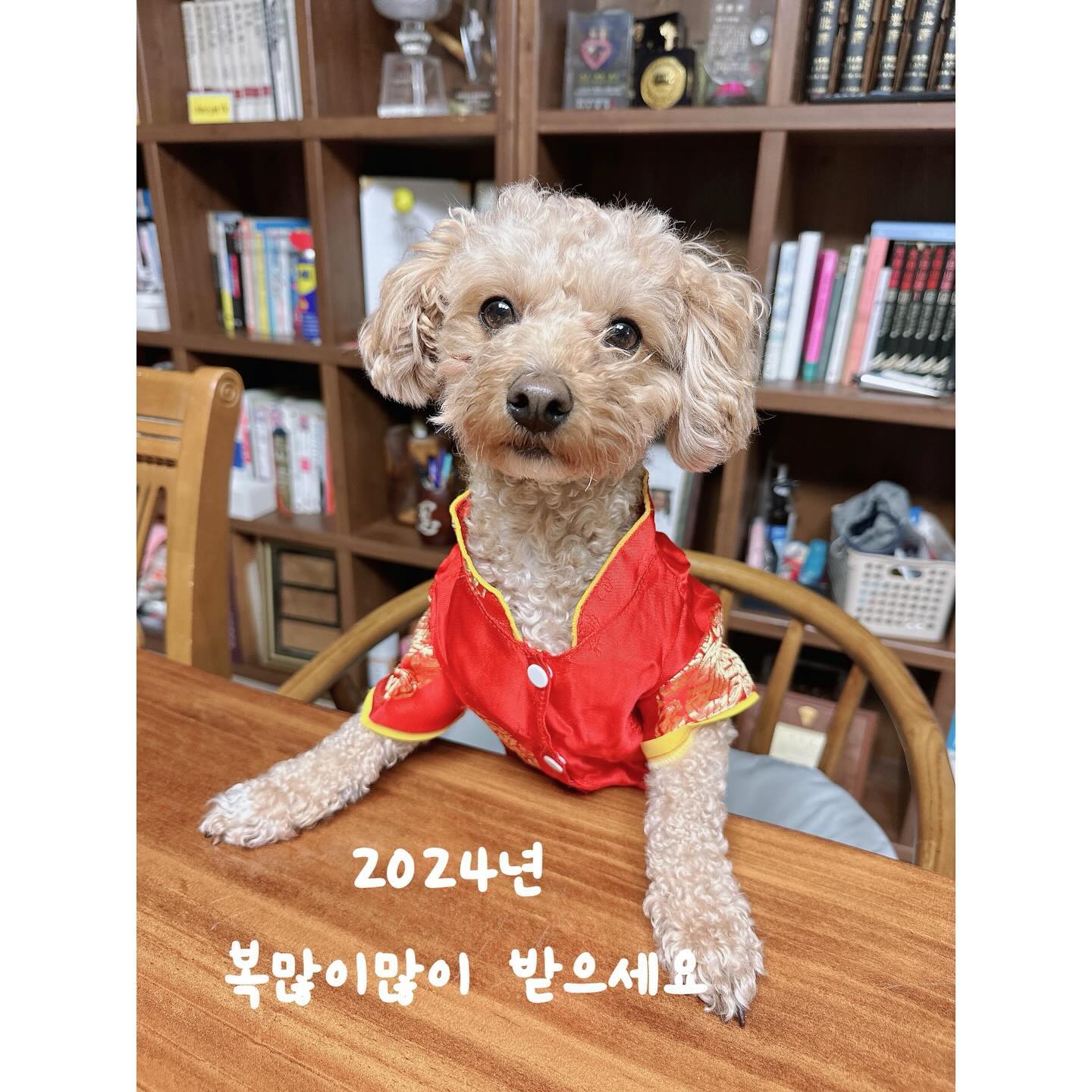 콘텐츠