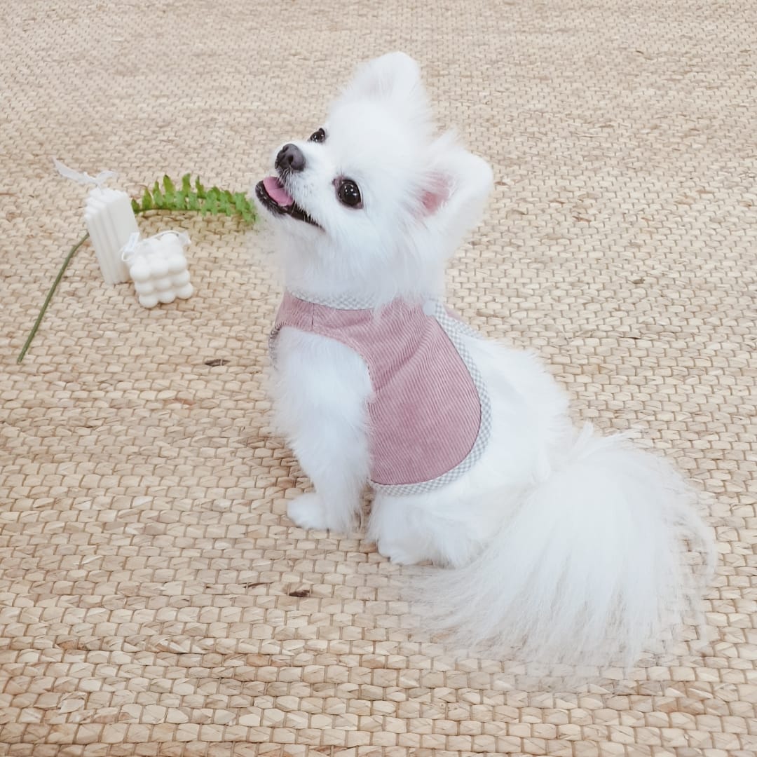 진짜 진짜 오랜만에
꿈에 #첫째딸 다미가 놀러왔다
내가 준 사과를 어찌나 맛있게 #옴뇸뇸 하는지

분명 음청나게 달달한 사과였나보다

요즘 애미 몸도 마음도 아푸다고
달래러 와준듯

너무너무 #기분좋은꿈 이였다
그 순간만큼은 진짜 계속해서 내 옆에 있었던 느낌..

#그립다 #보고싶다 #안고싶다 #내딸랑구 #사랑해
