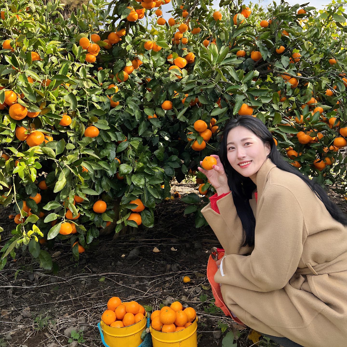 제주여행 사진정리중📷

귀차니즘에겐 찍어둔 사진 하나씩 정리하는것도 일이야,

매번 내가 가면 비내리는 제주라서 길게가면 괜찮을줄 알았는데, 이틀빼고 몽땅 비,바람 장난 아니였던 제주🍊 그래도 이틀동안 야무지게 구경하고 귤체험도 했지롱~~

귤따면서 맛보는 귤이 찐 마시쒀✨

#제주감귤체험 #제주감귤농장 #제주여행일정 #제주여행기록 #데일리 #제주날씨 #셀프웨딩 #제주웨딩스냅 #커플스냅 #한복스냅