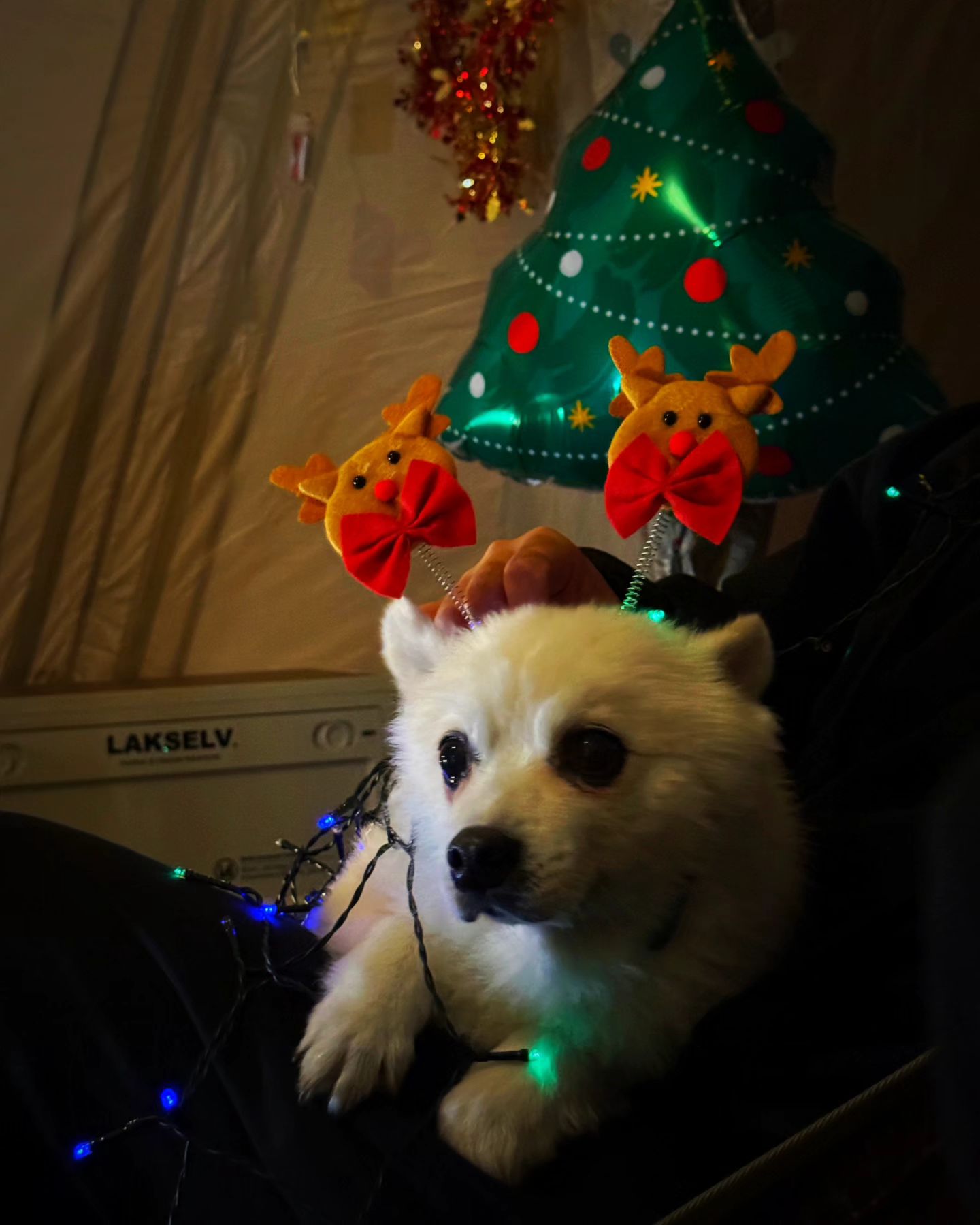 소미도 #미리크리스마스 🎄 

새로운 친구들과...캐롤과 함께... 먹부림까지 너무 즐거운데... 평소보다 7시간씩 늦게 자는건... 🫠🫠🫠

이번주는 홍천 노지캠이닷😎