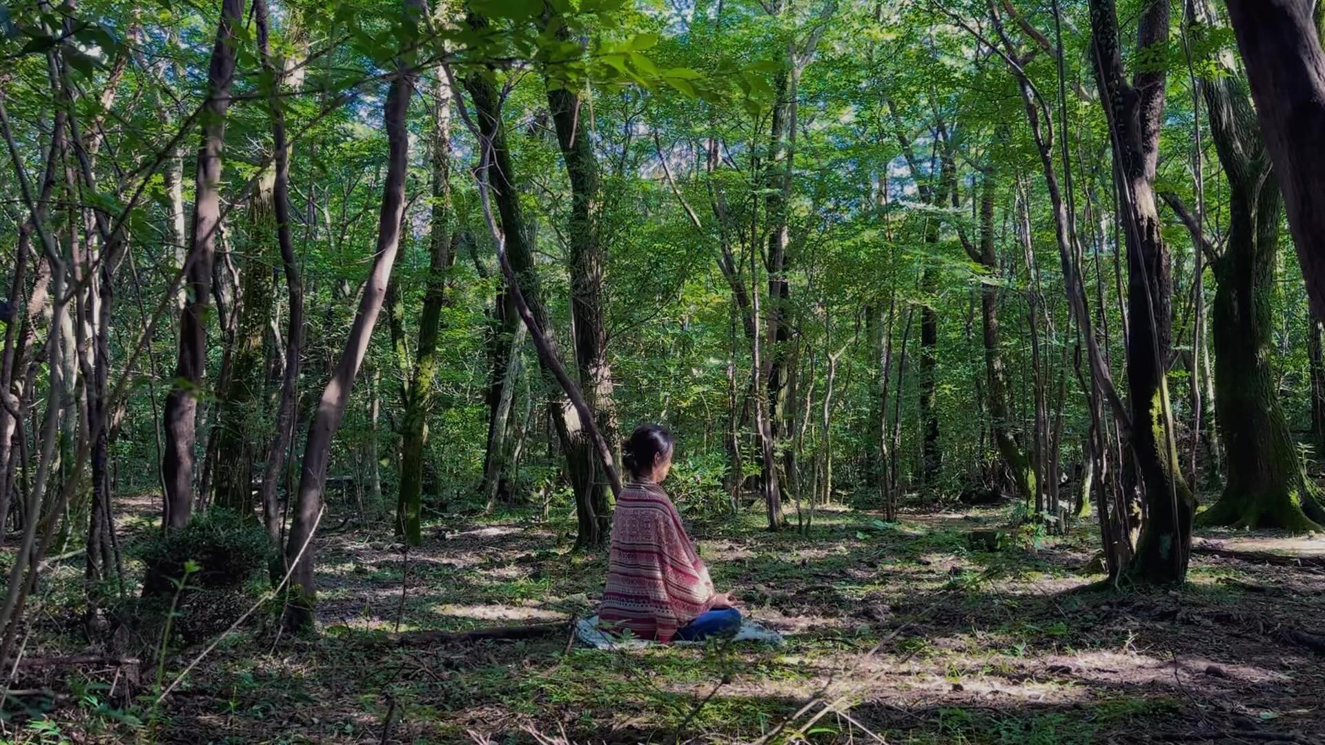 숲 속에서의 하루 🎞️🧘🏾🌳🕊️