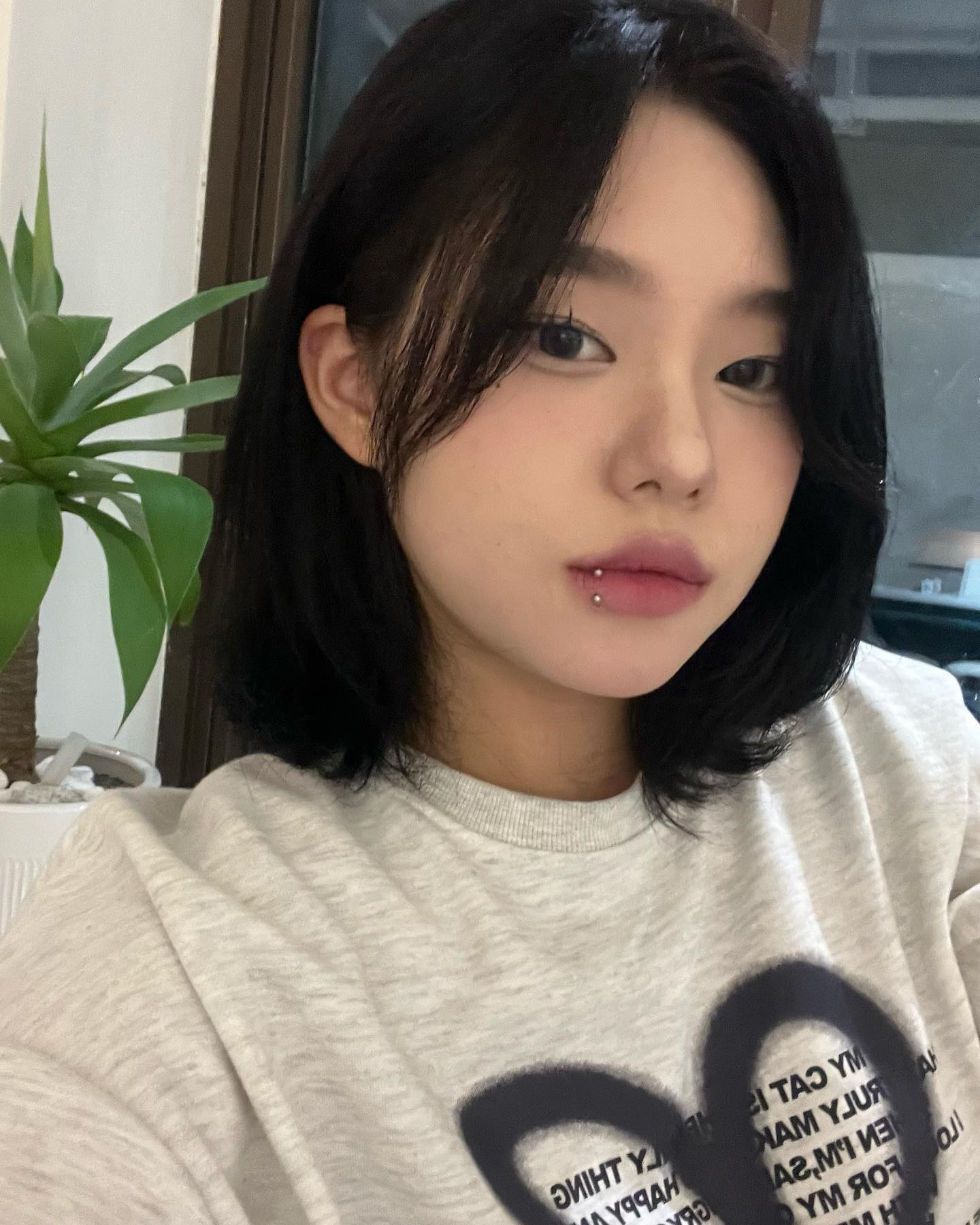콘텐츠