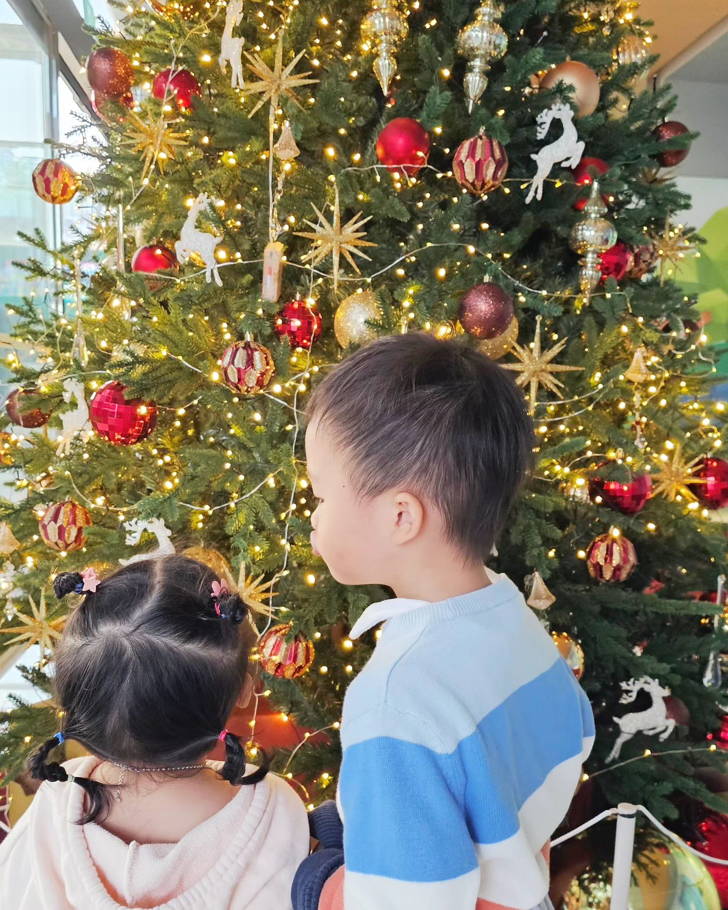 🎄

반짝반짝트리구경

#48개월아들
#22개월딸 
#성장기록 
#남매샷
#귀여운볼따구❤️