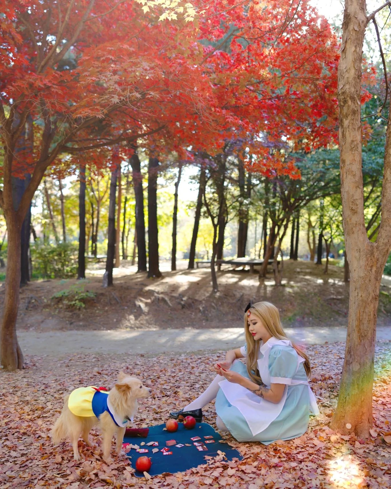 신데렐라는 이혼하고 받은 위자료로 갑부가 되었고 백설공주는 일처다부제를, 앨리스는 타짜가 되었답니다.
.
.
#패건들지마 #손모가지날아가붕게 #꽃들의전쟁 #화투 #한탕에진심인앨리스와 #속곳까지털리게생긴백설공주 #절대봐주지안아 #사실못침 #ㅋㅋ