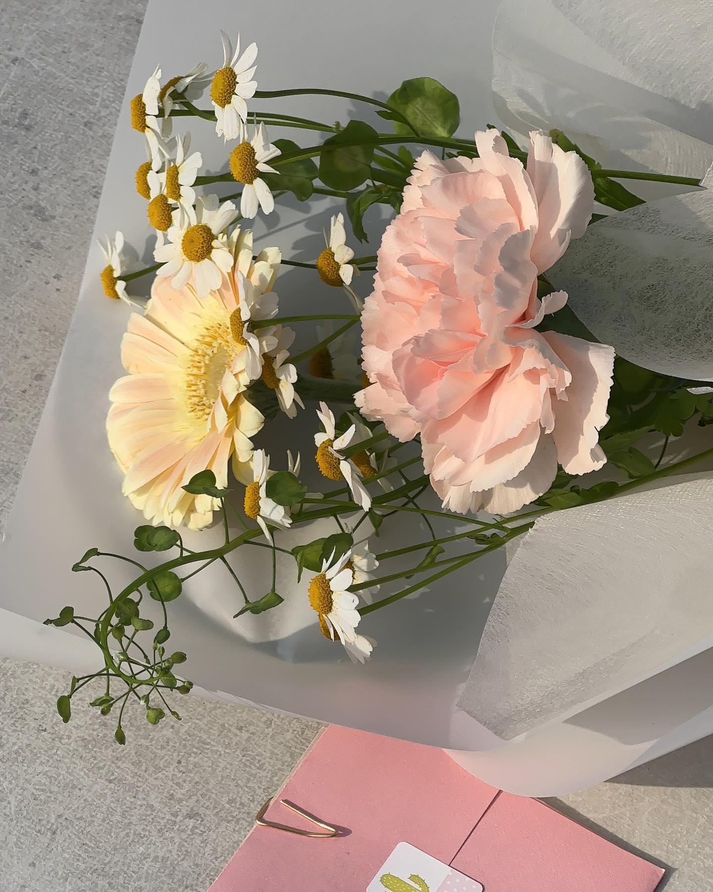 암어햅삐걸🥳